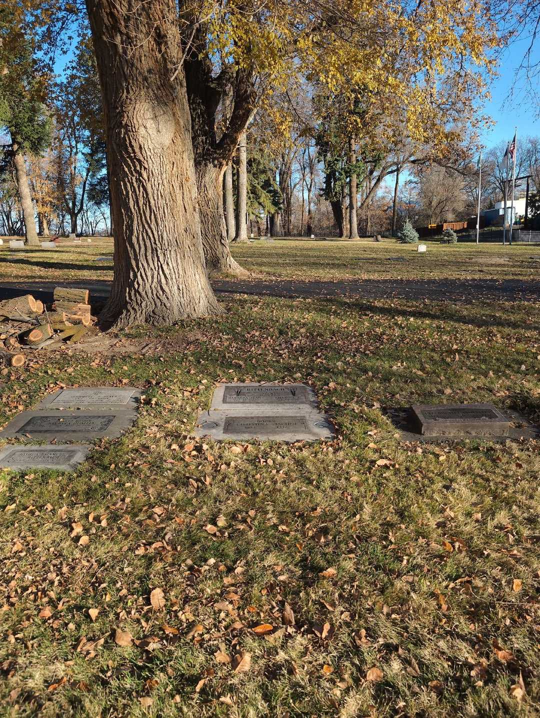 Emanuel T. Rittenbach's grave. Photo 2