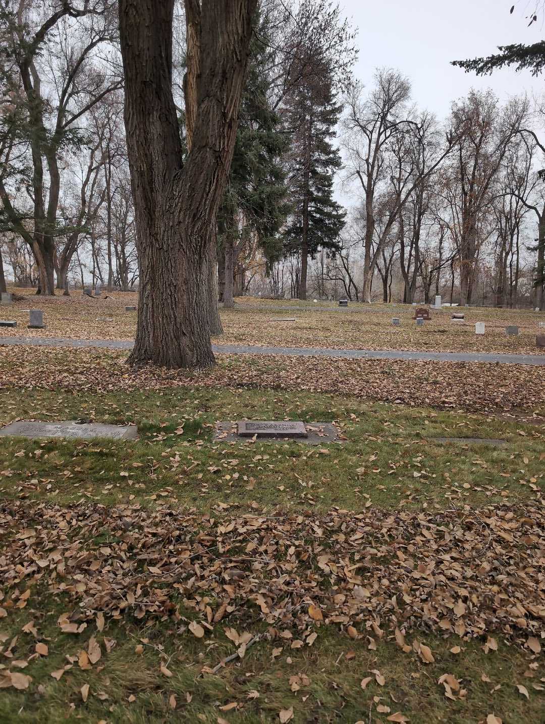 Lorry Arthur Dupuis's grave. Photo 2