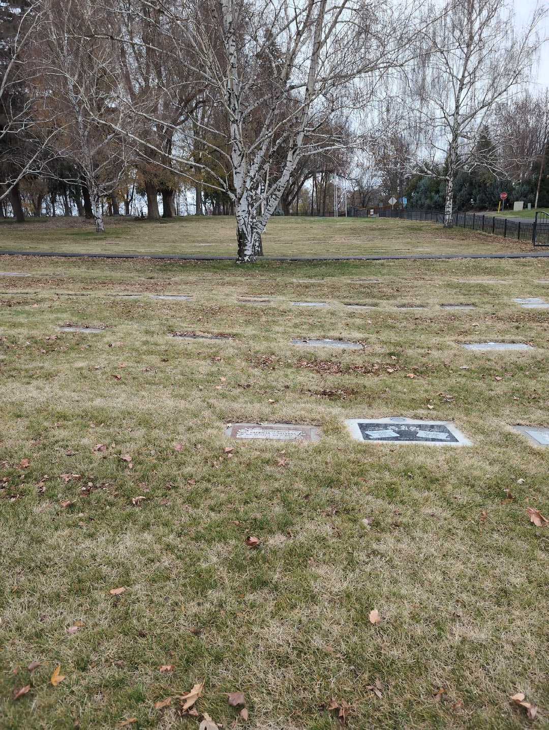 Patricia Jo "Patty" Stevens's grave. Photo 2