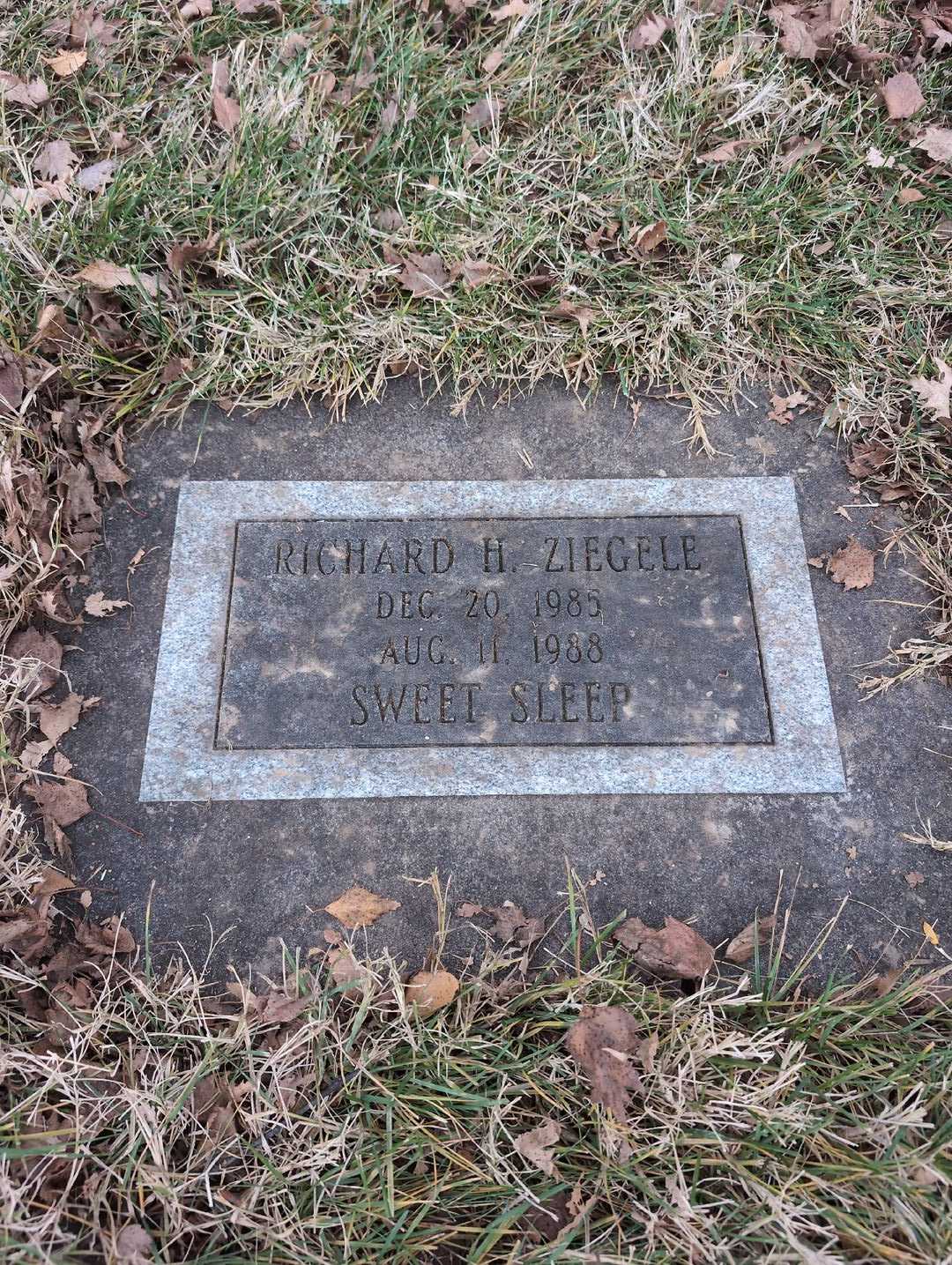 Richard H. Ziegele's grave. Photo 3