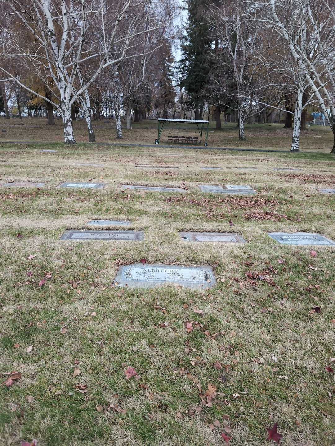 Walter J. Albrecht's grave. Photo 4