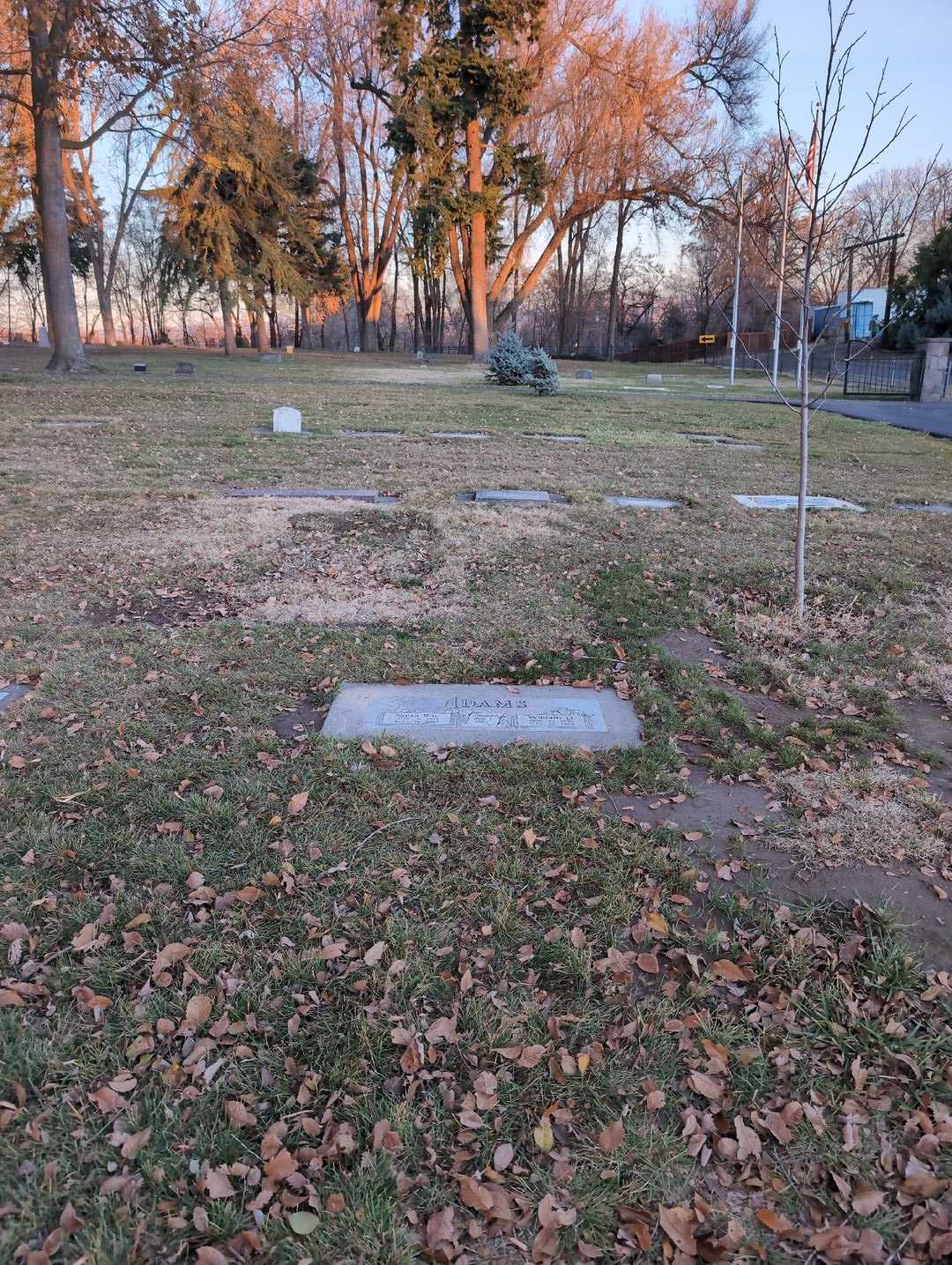 Nieta Rae Adams's grave. Photo 2