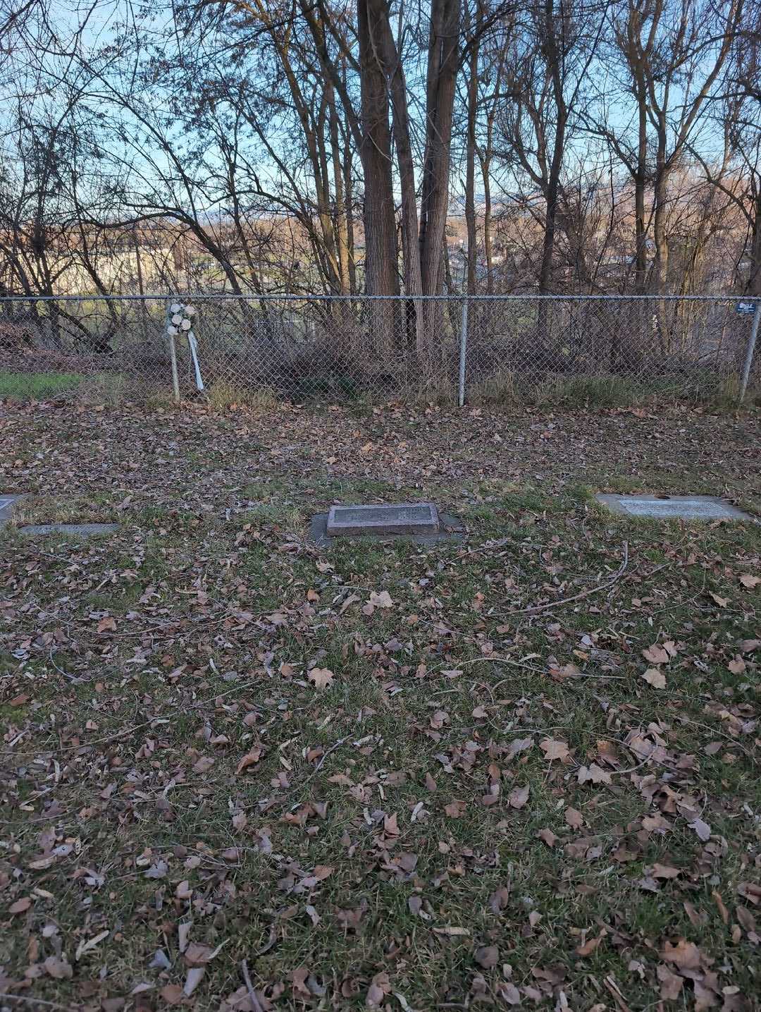 Cyrus Joseph Moore's grave. Photo 2