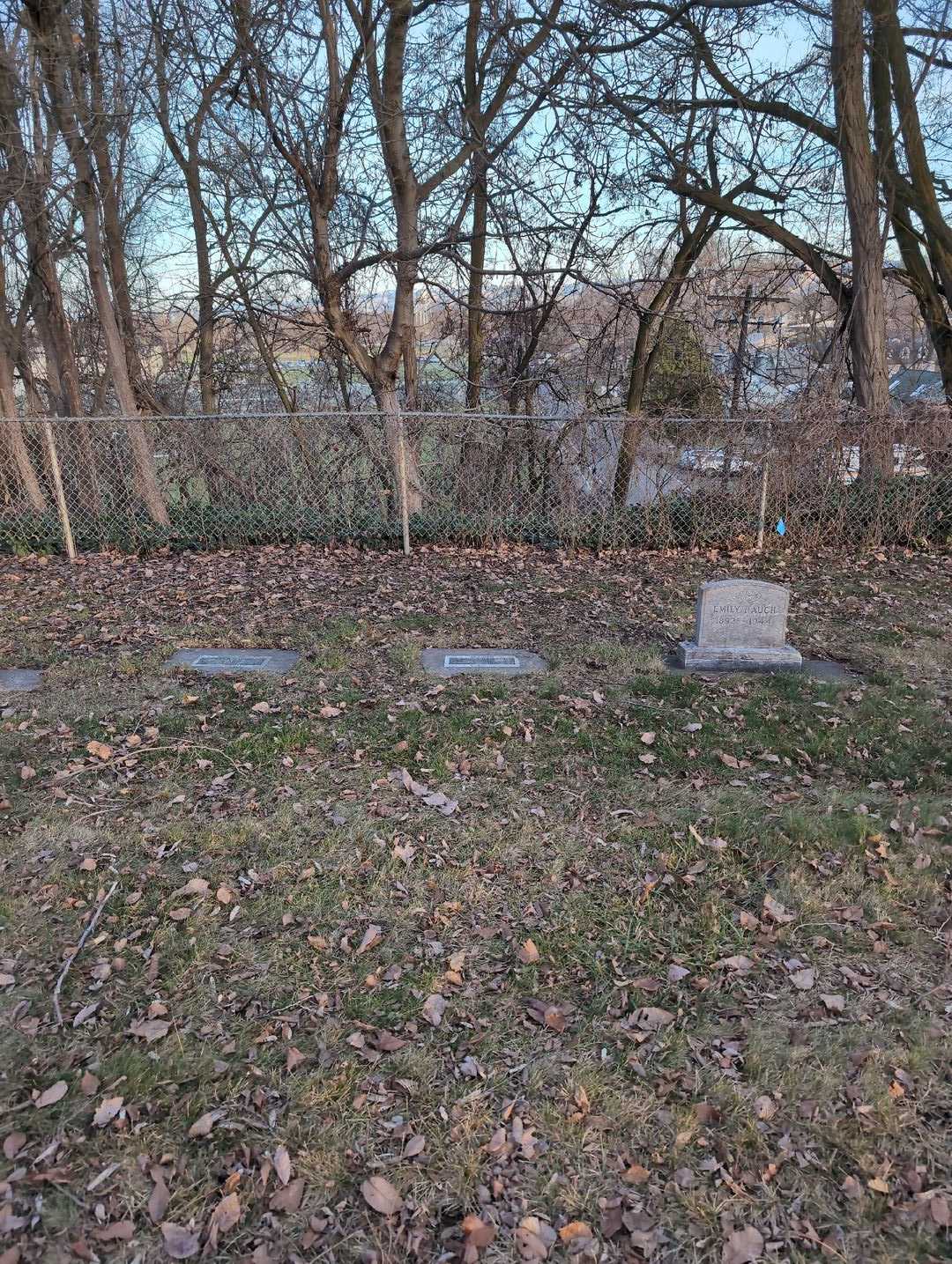 Grace R. Gilliland Carr's grave. Photo 2