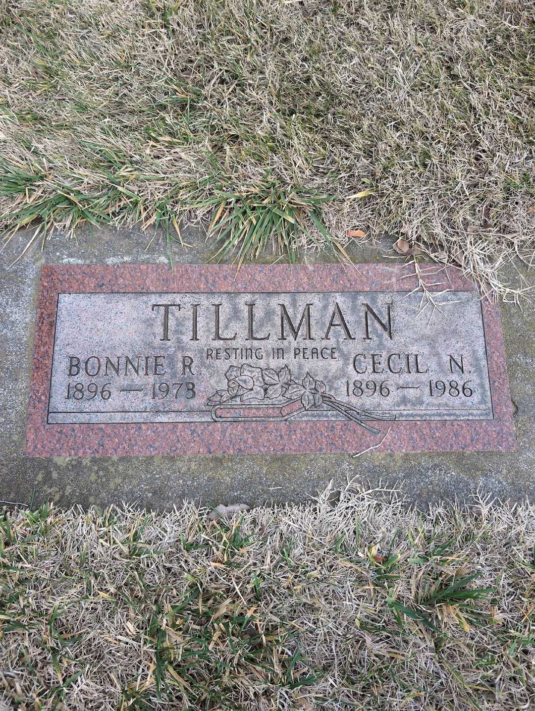 Cecil N. Tillman's grave. Photo 3