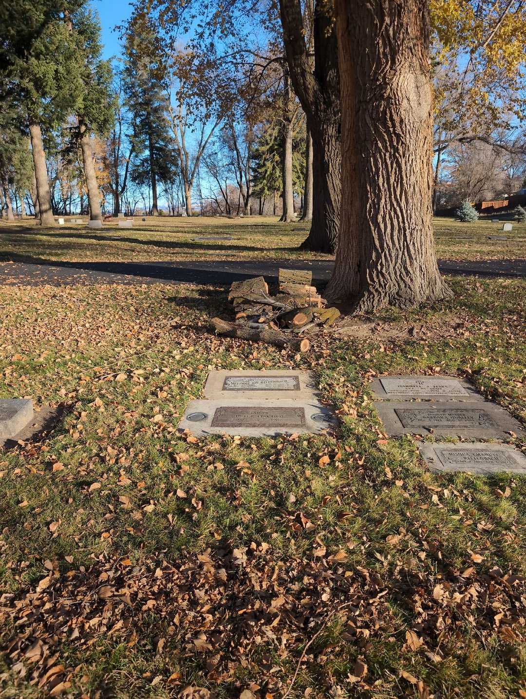 Melodie Joy Rittenbach's grave. Photo 4