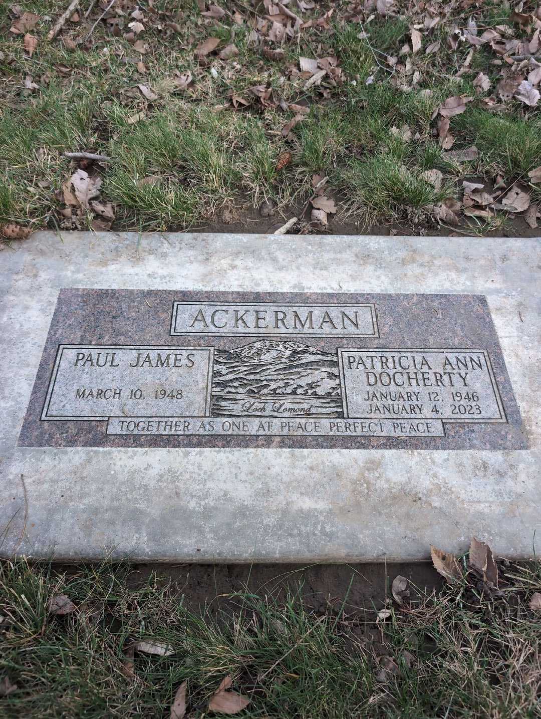Paul H. Ackerman's grave. Photo 5
