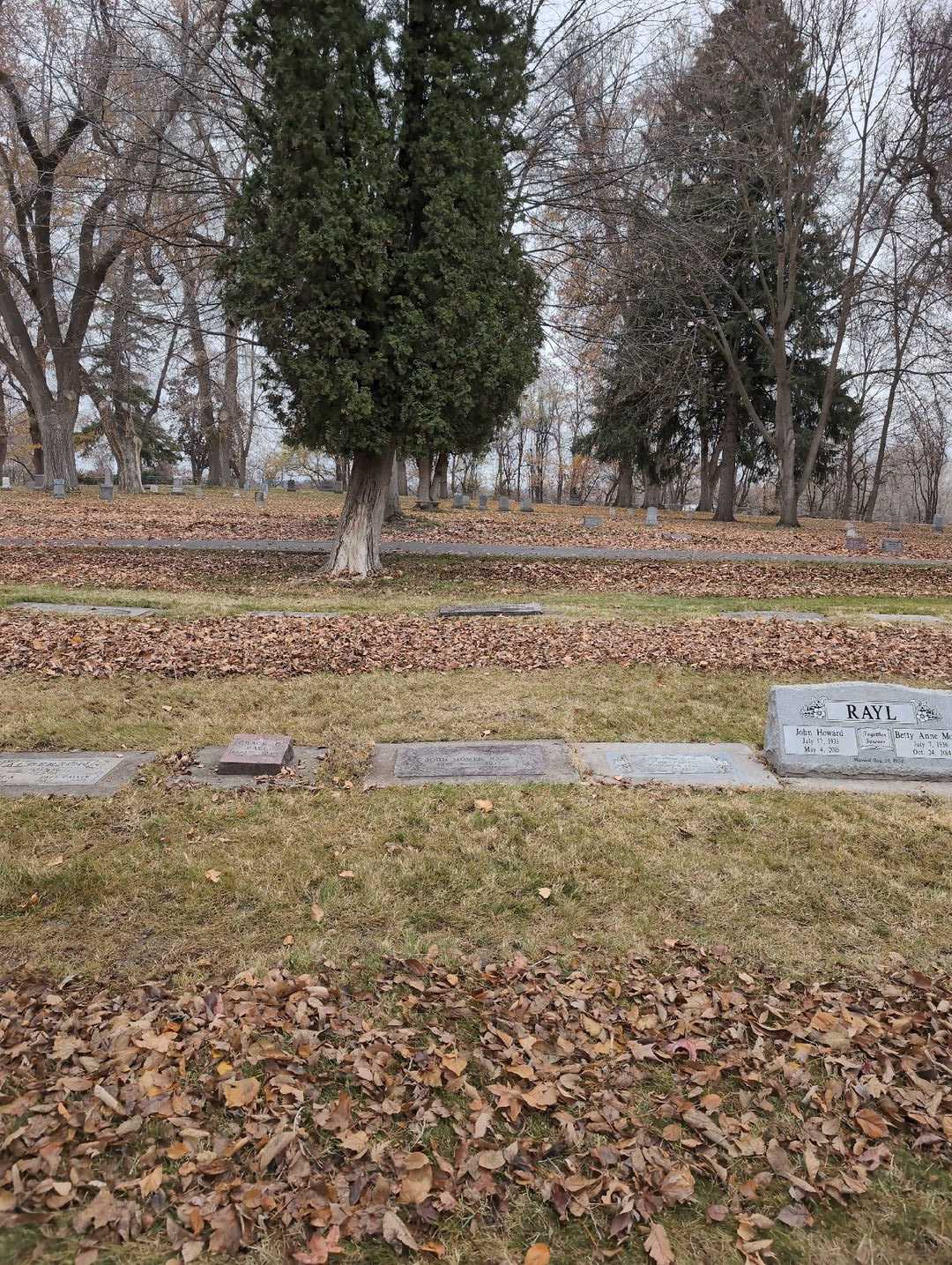 John Homer Rayl's grave. Photo 2