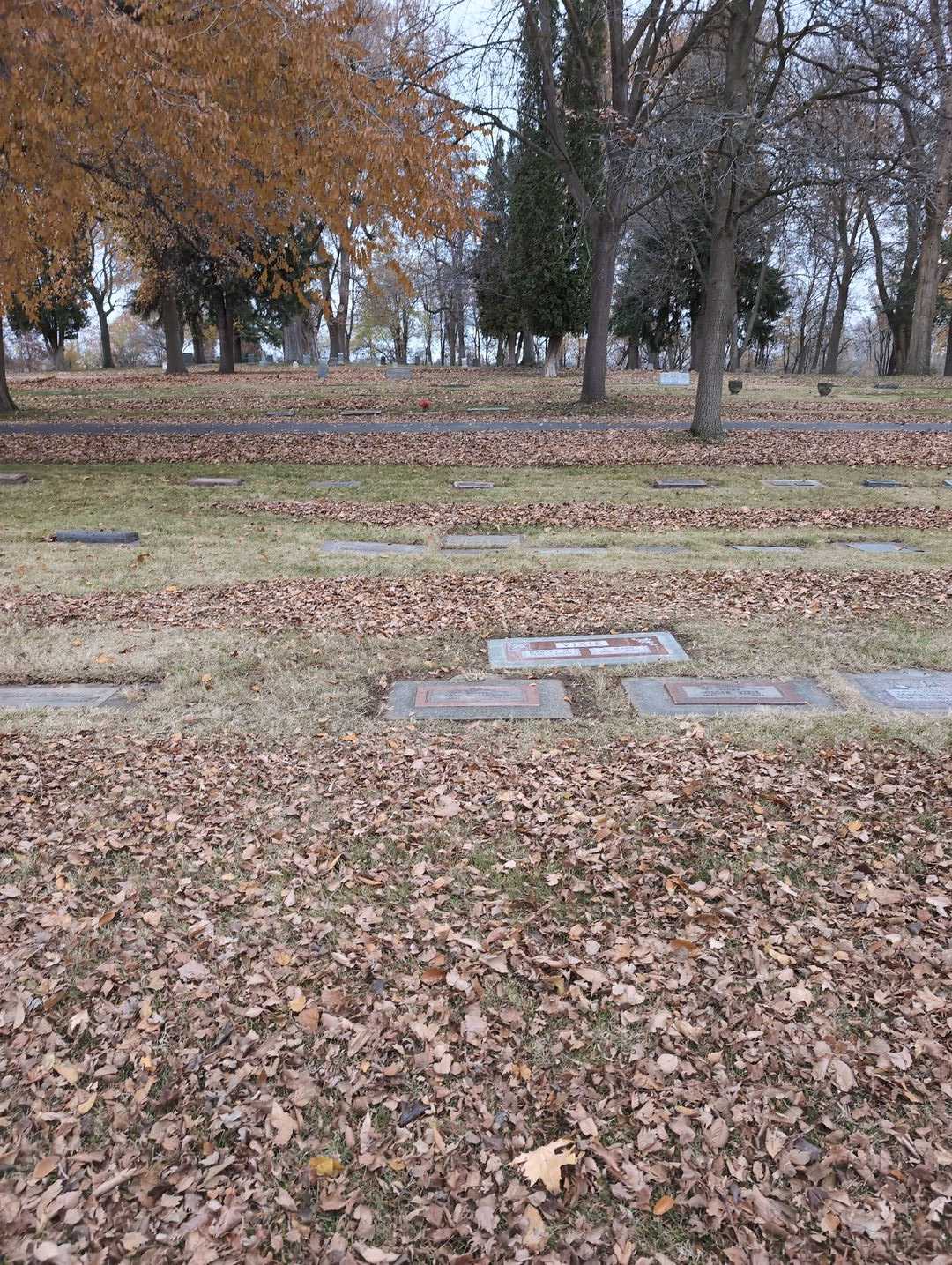 Harley M. Vixie's grave. Photo 4