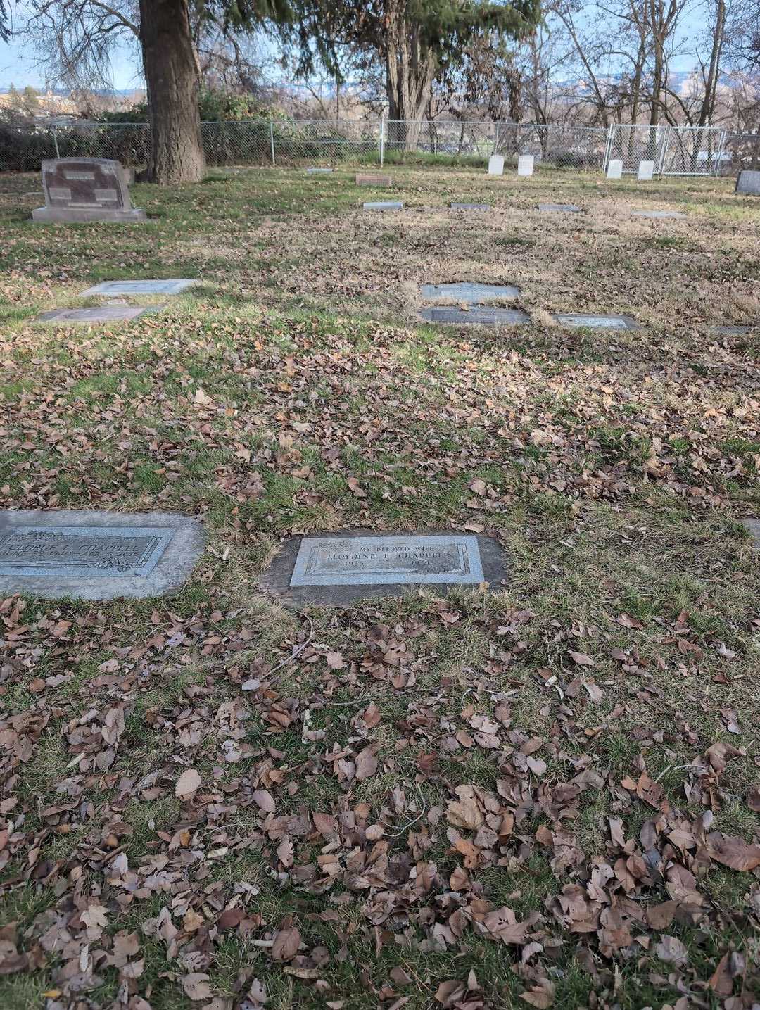 Lloydine E. Chappell's grave. Photo 2