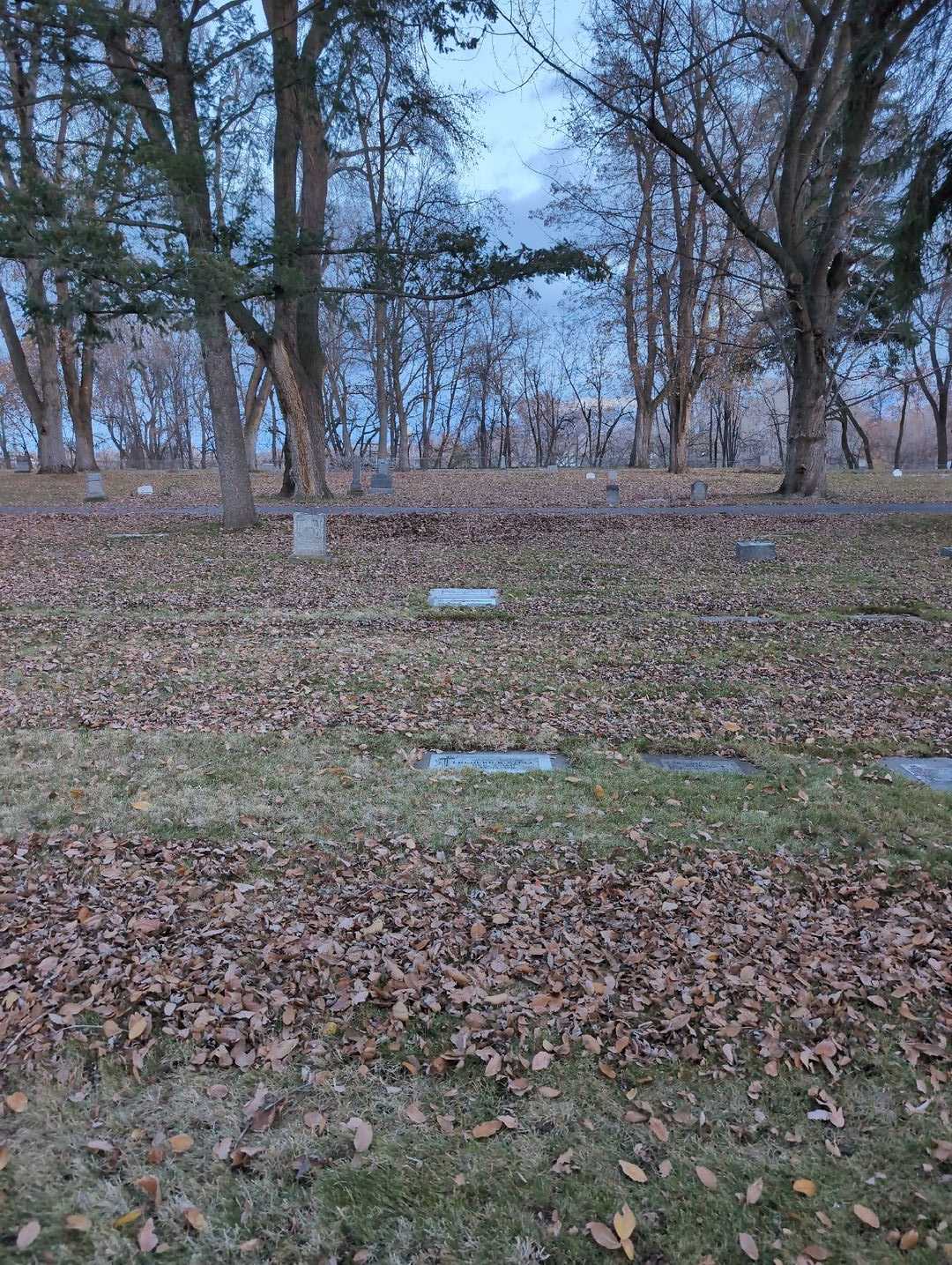 Frederick "Fred" Stoll's grave. Photo 2