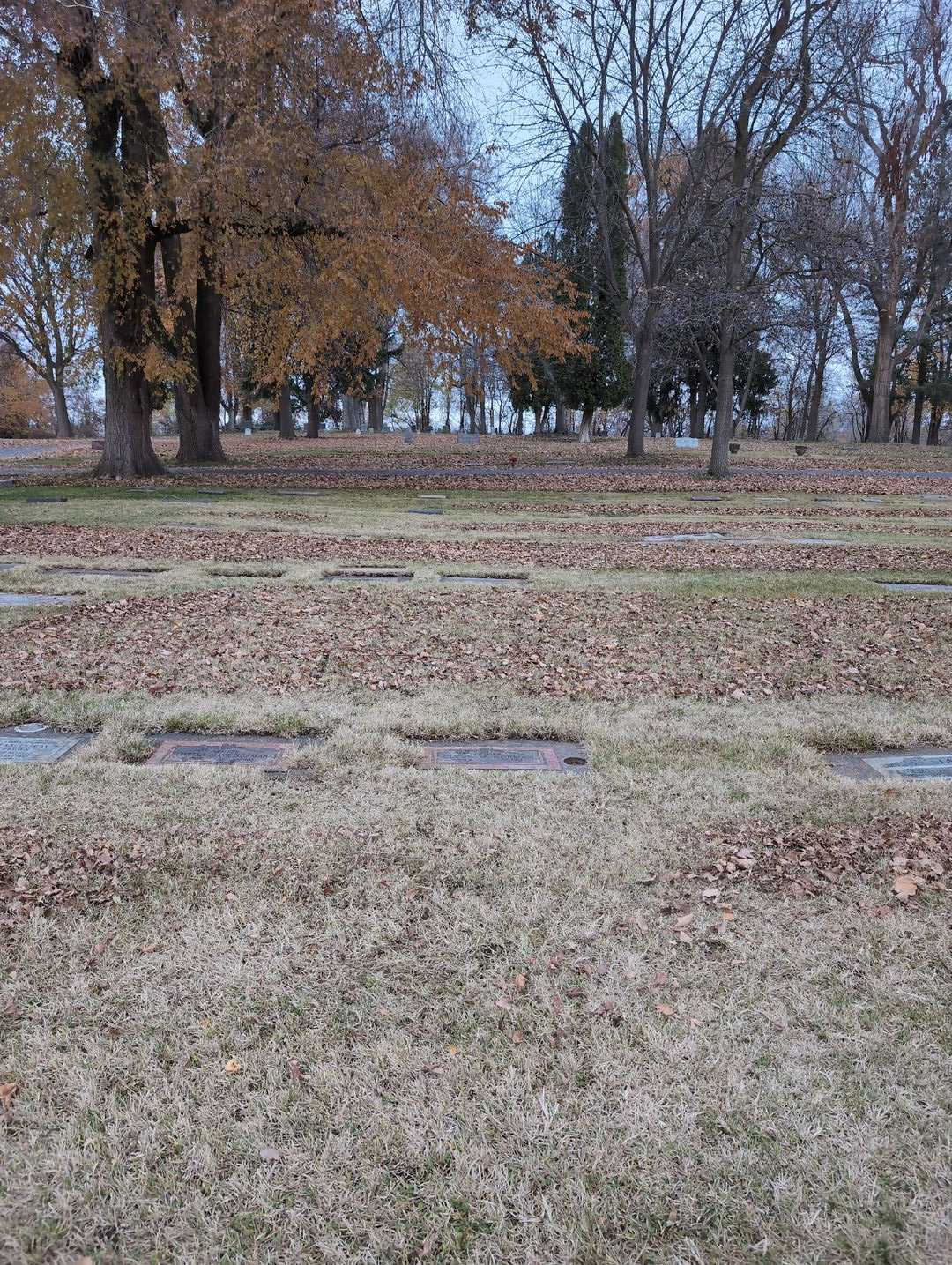 Clyde M. Norman's grave. Photo 2
