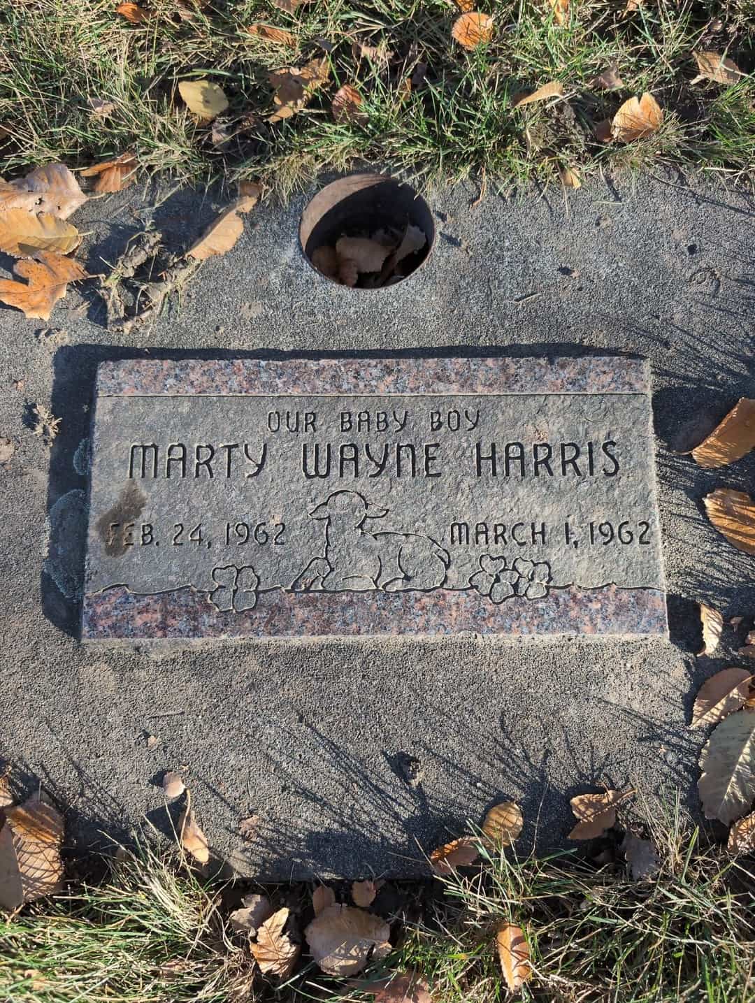 Marty Wayne Harris's grave. Photo 3