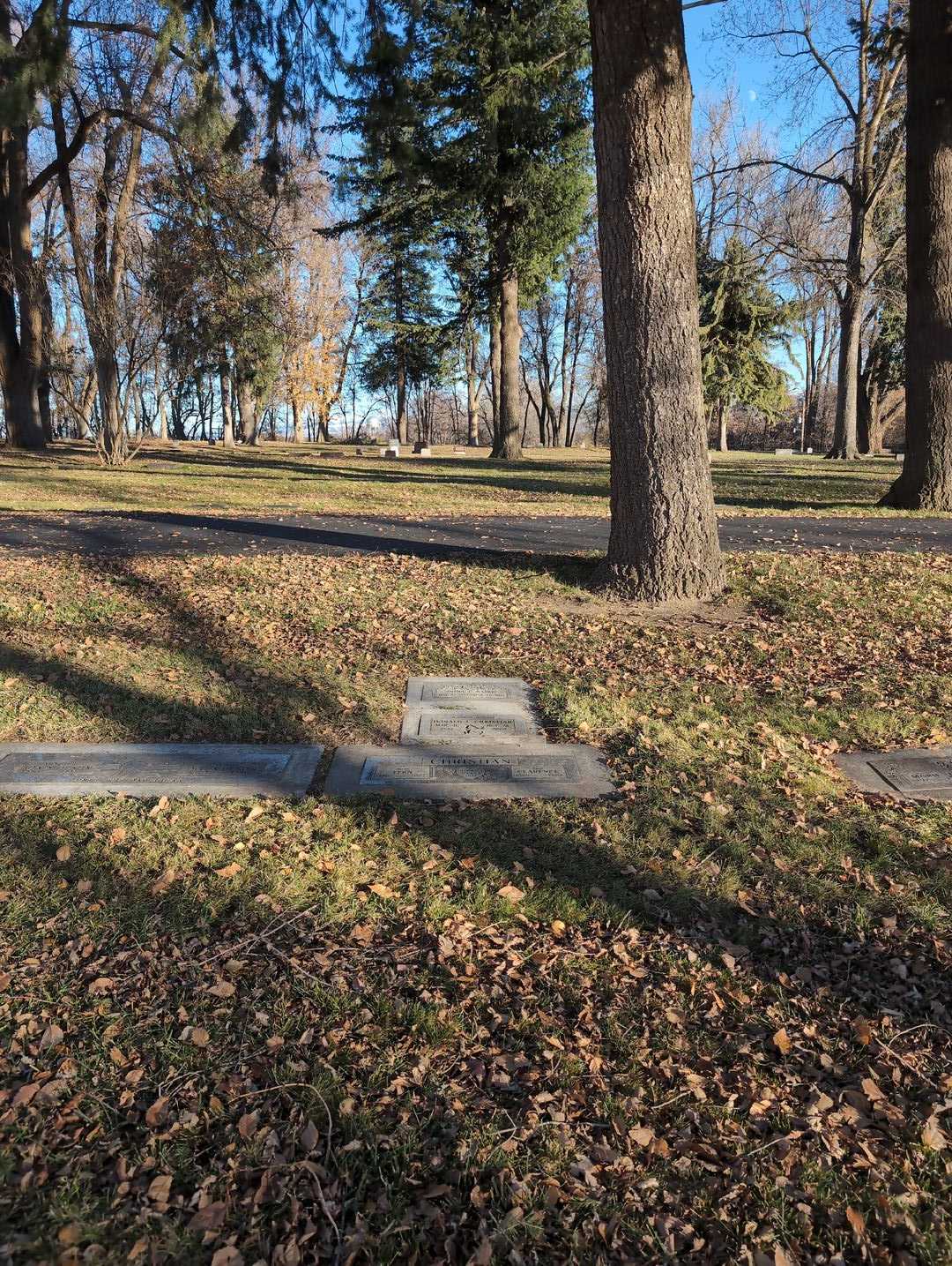 Dona C. Baird's grave. Photo 2