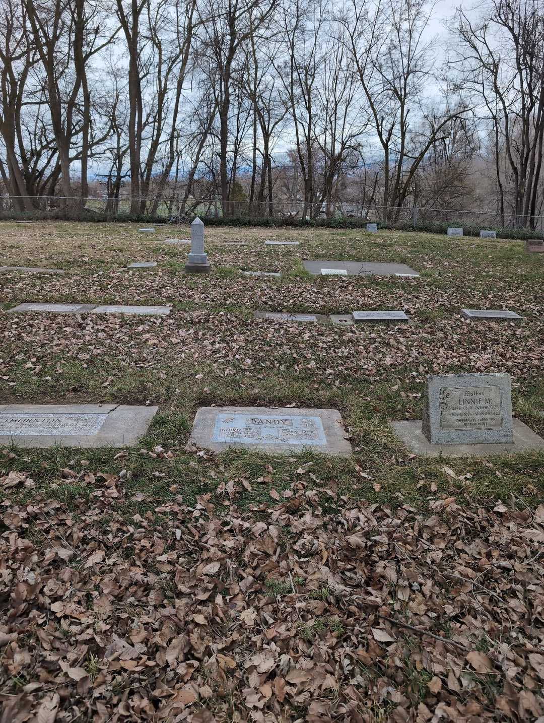 Gloria Gene Bandy's grave. Photo 2