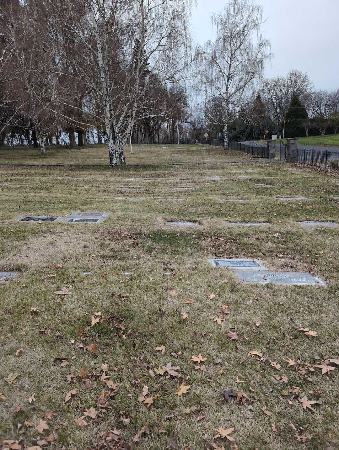 Johnny "John" Kivett's grave. Photo 4