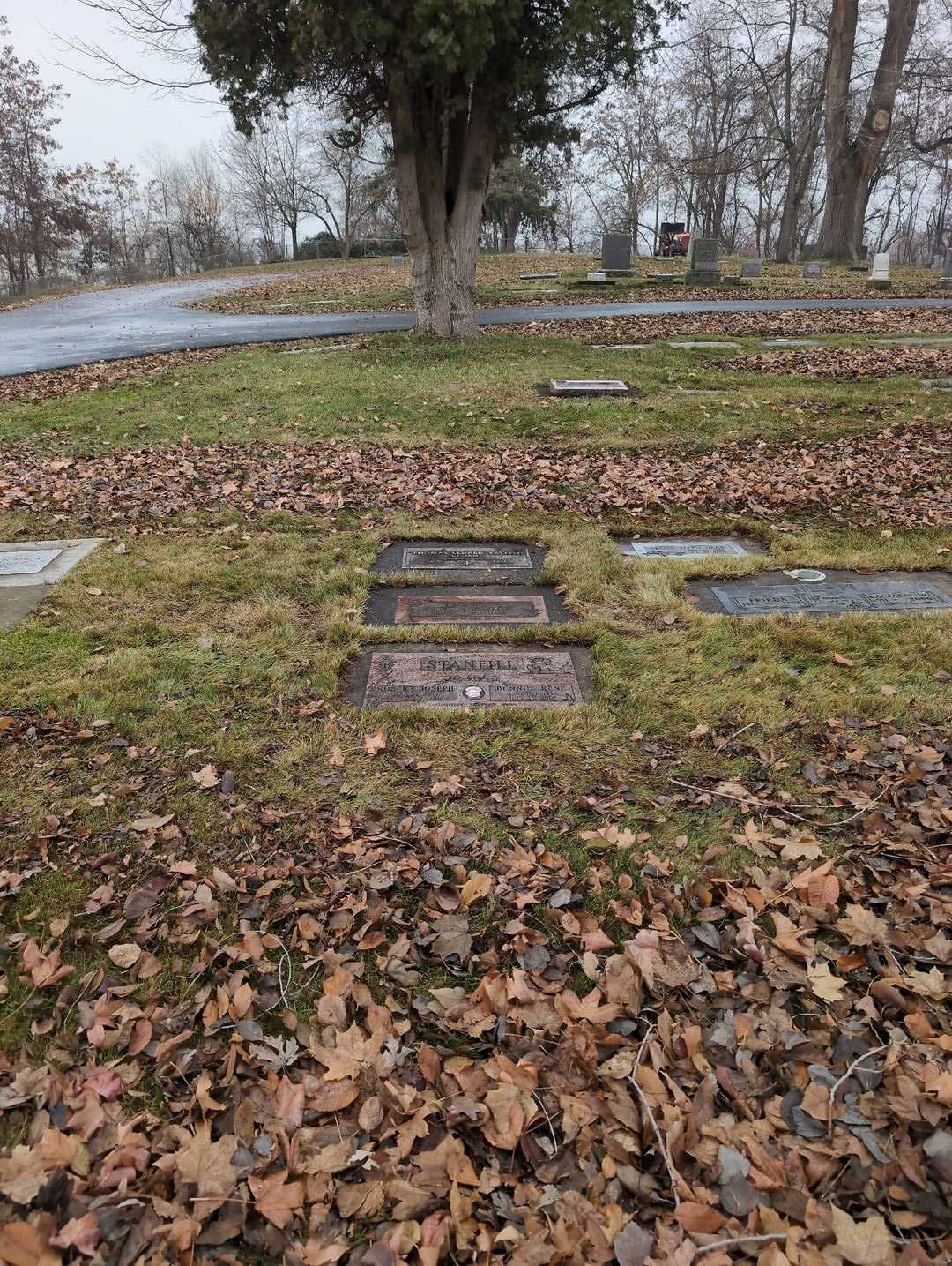 Esther Taylor's grave. Photo 5
