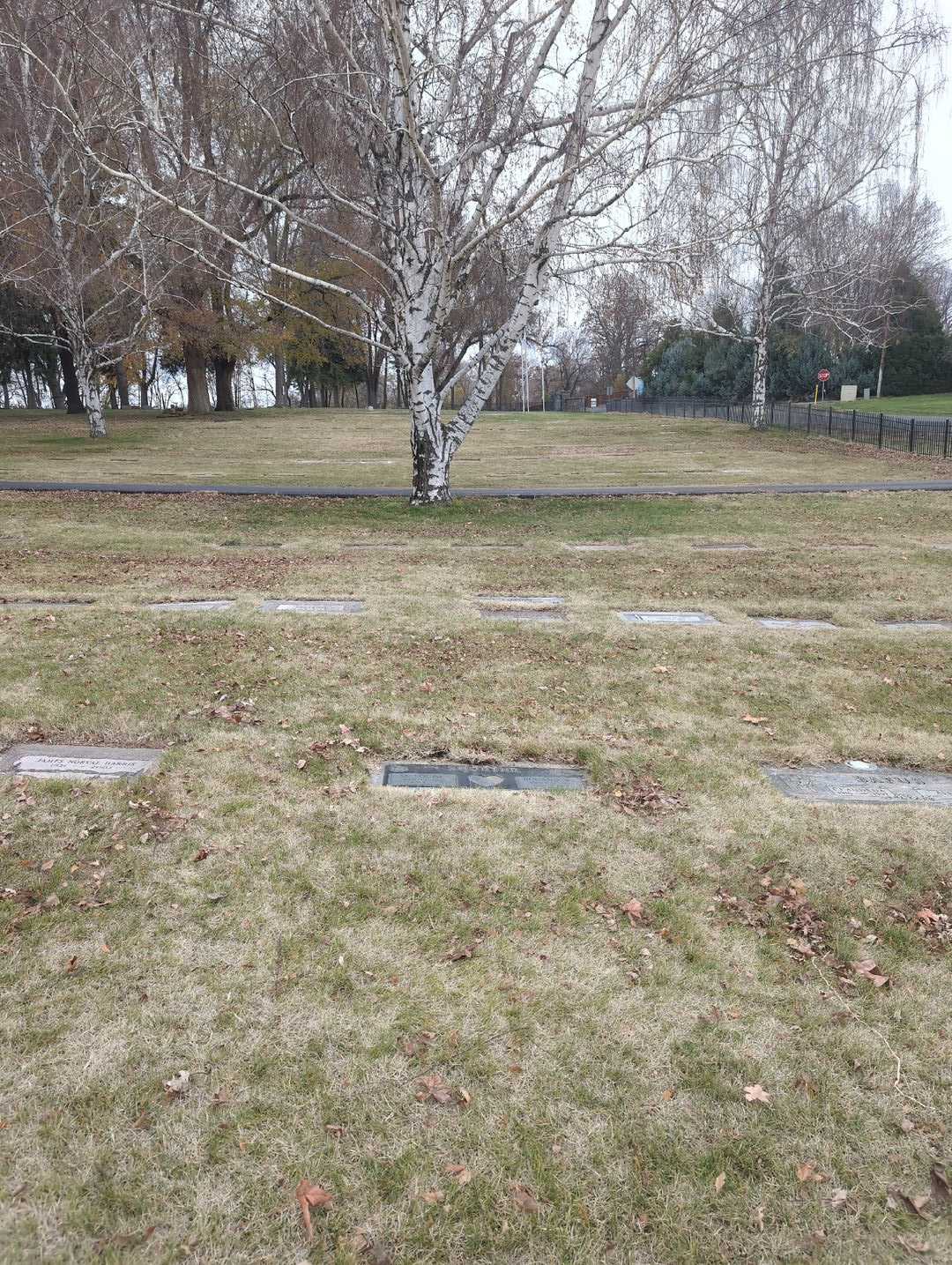 Roland Wyatt Shorter's grave. Photo 2