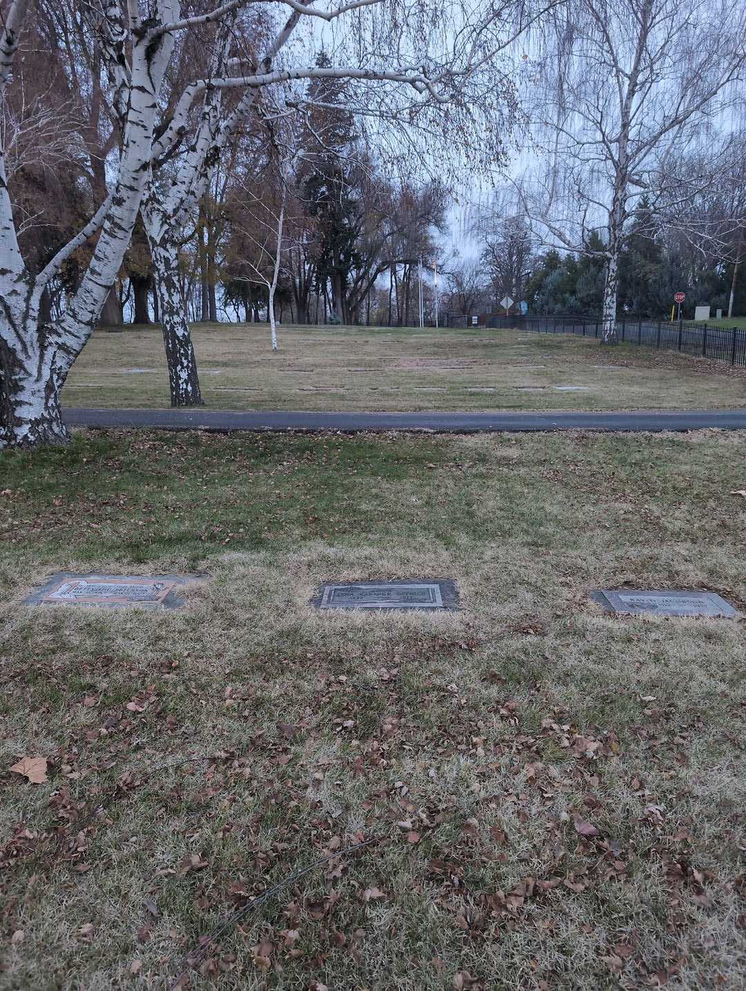 Lena Kabanuk Devnich's grave. Photo 2