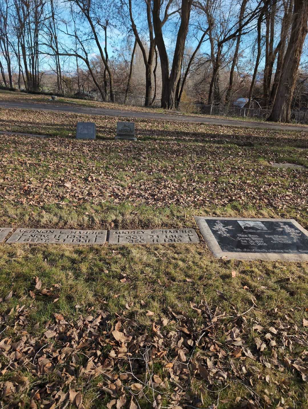 Audrey Elsie Harris's grave. Photo 2