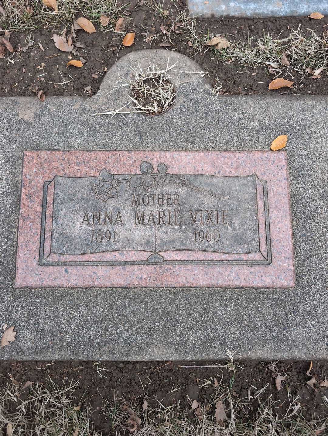 Harley M. Vixie's grave. Photo 5