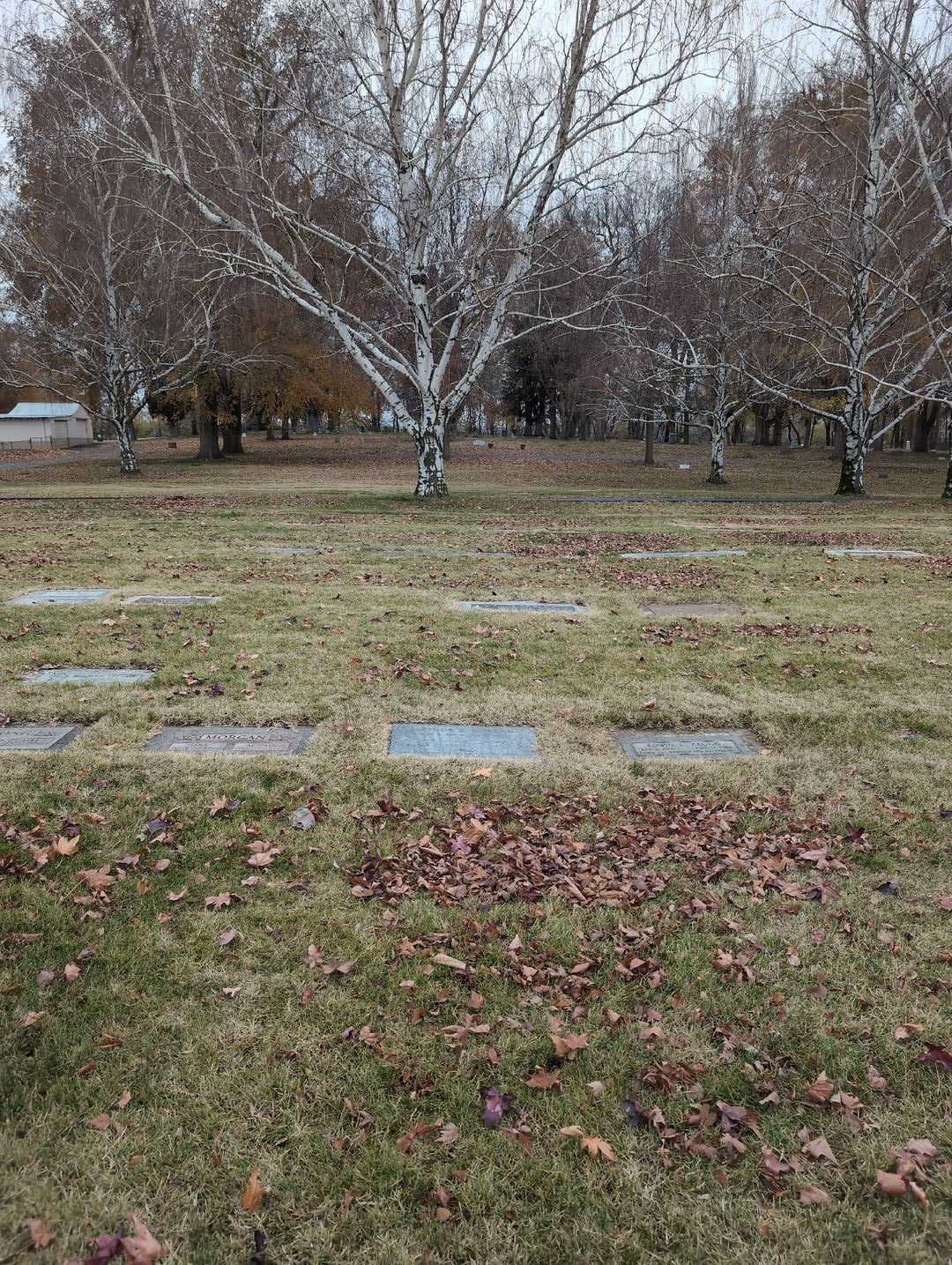 Arthur Elmer Morgan's grave. Photo 2