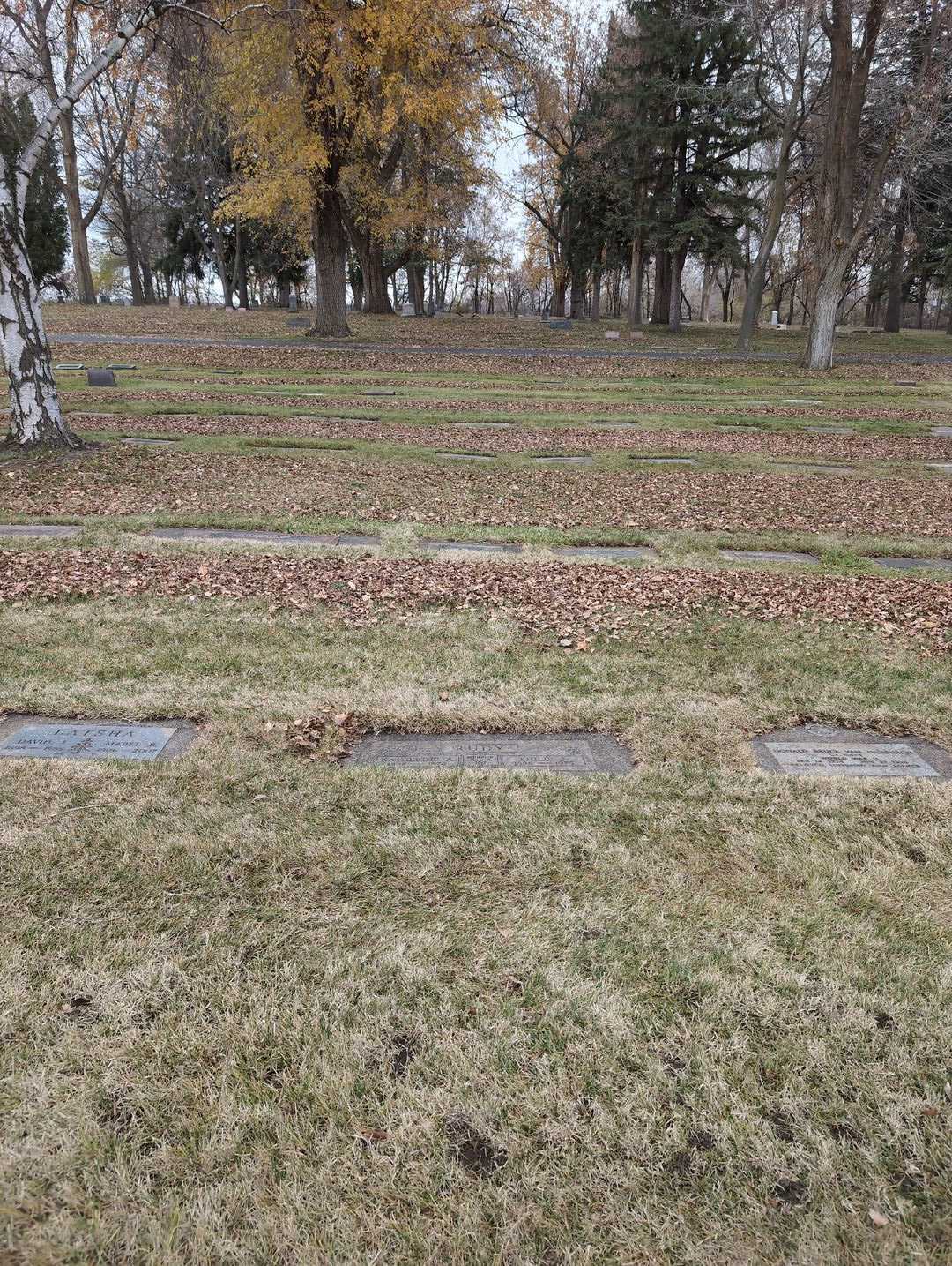 Phillip J. Rudy's grave. Photo 2