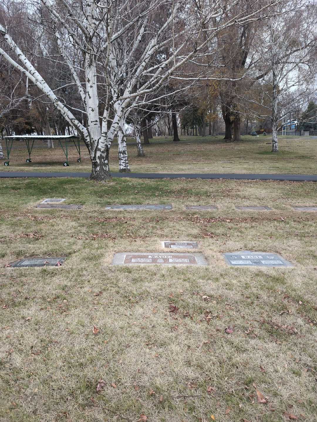 Shirley Lorraine Wade's grave. Photo 2