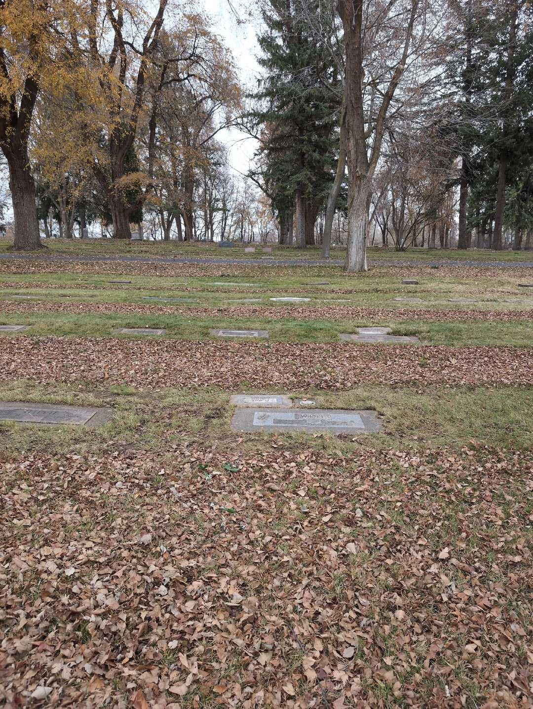 Darlene E. Macauley's grave. Photo 4