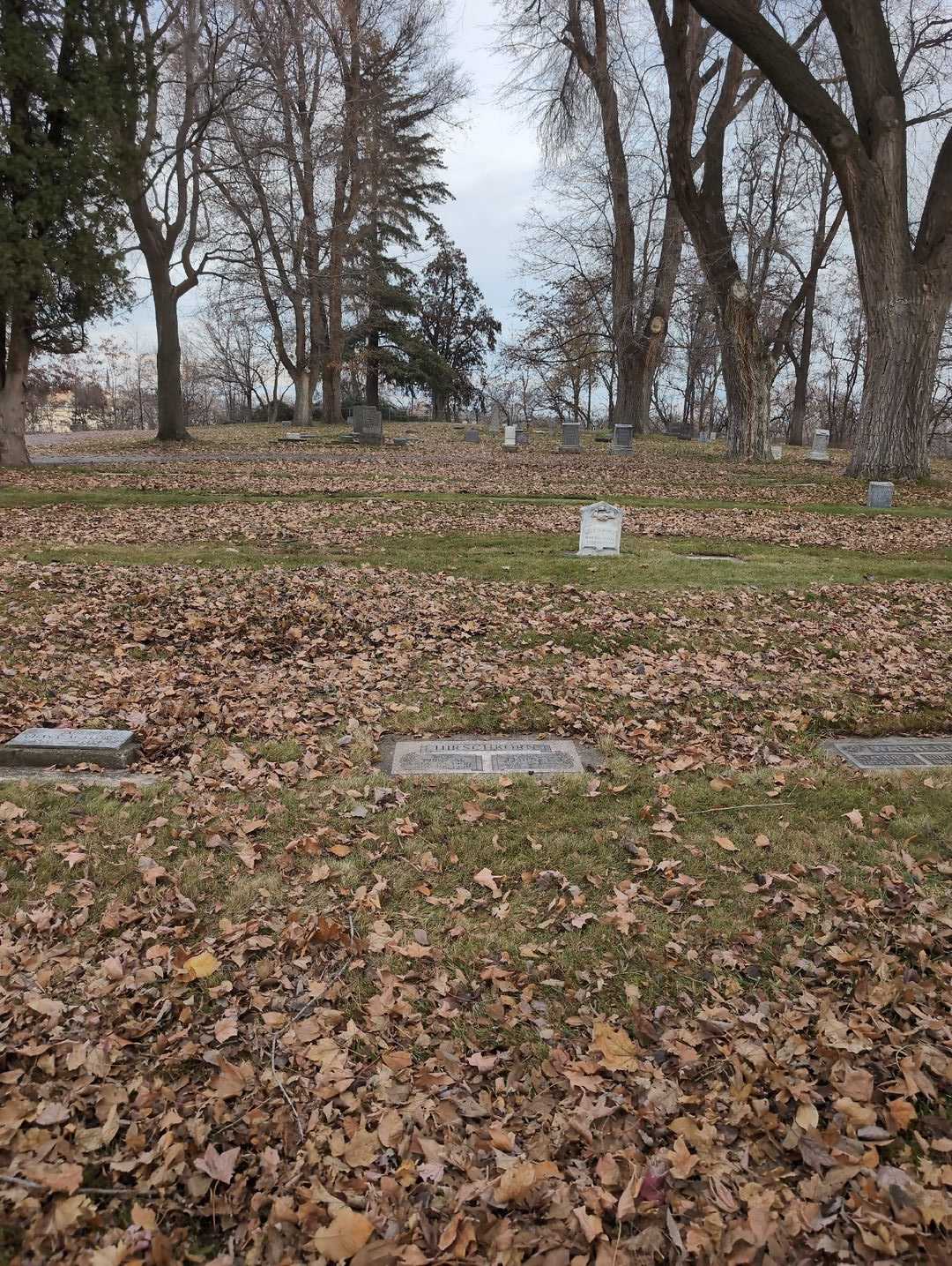 Eldon E. Hirsckhorn's grave. Photo 2
