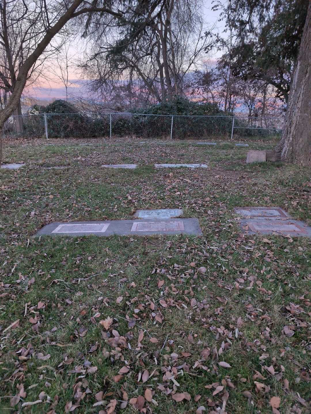 Gary R. Bohlman M. D.'s grave. Photo 4