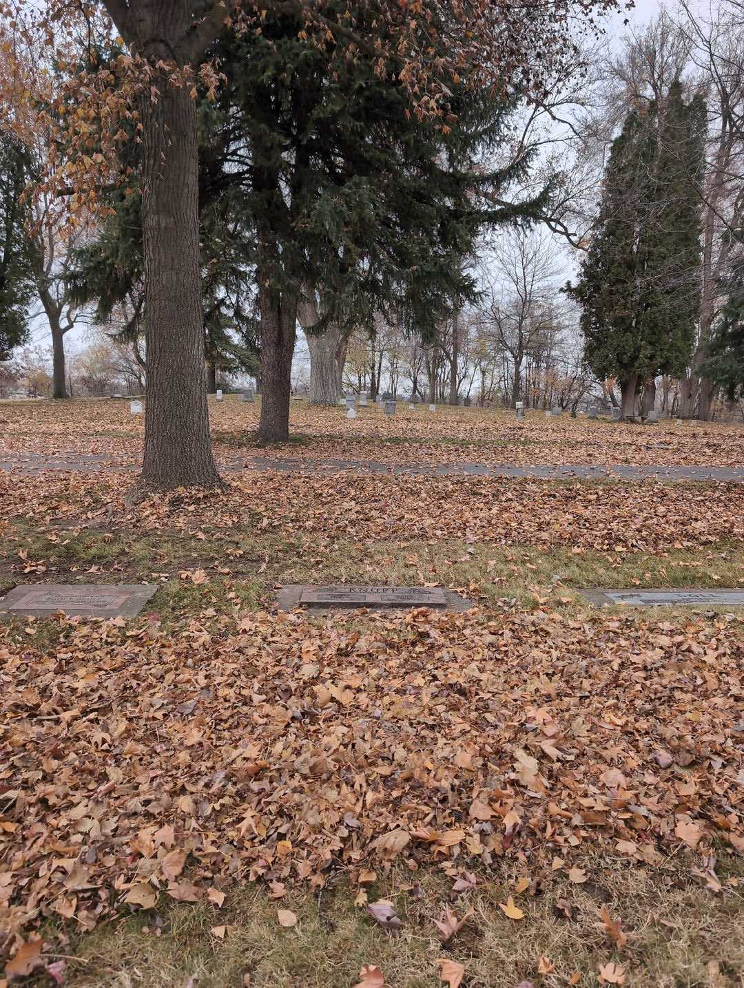 Emma Knopp's grave. Photo 2