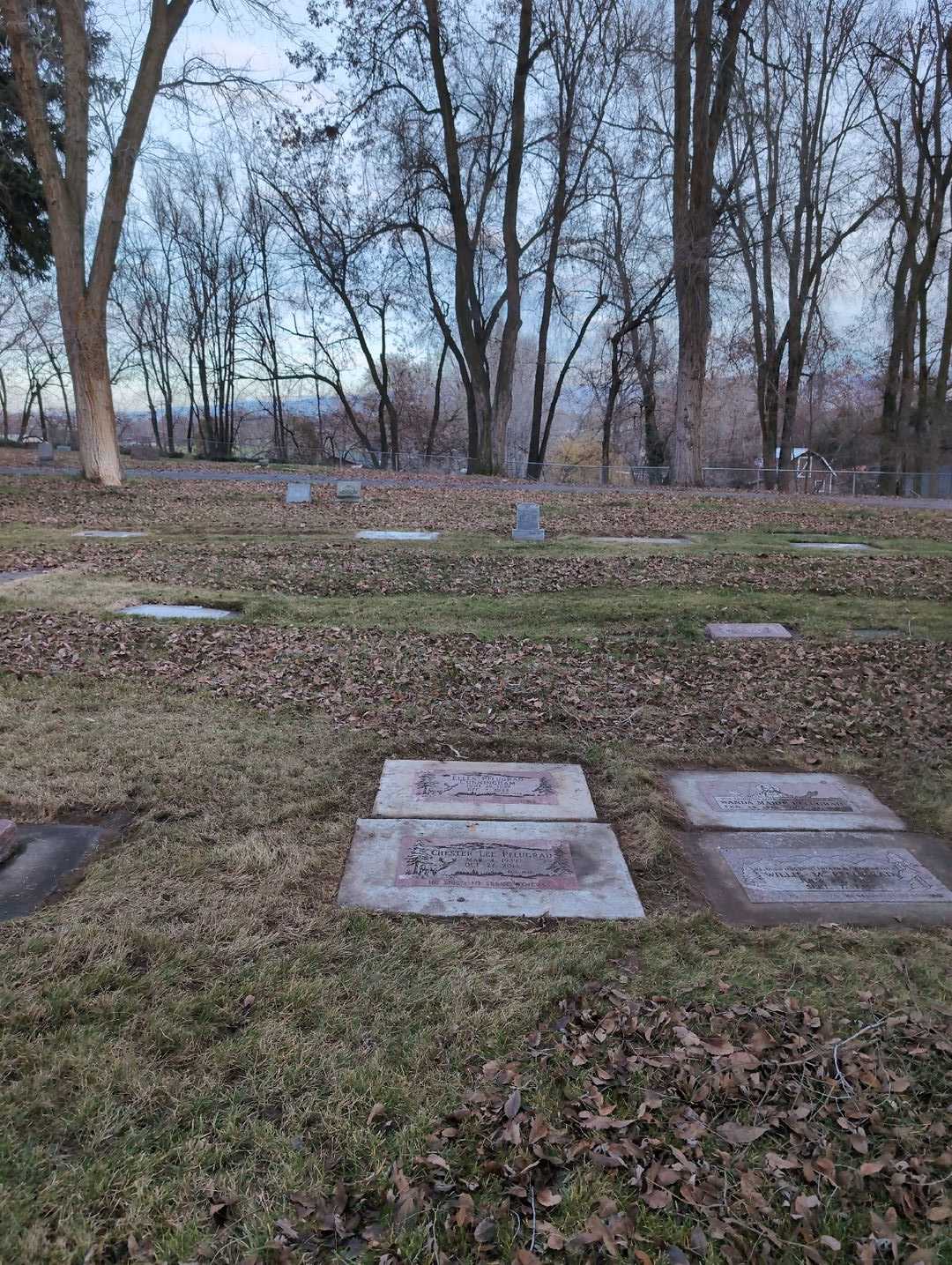 Ellen Pflugrad Cunningham's grave. Photo 3