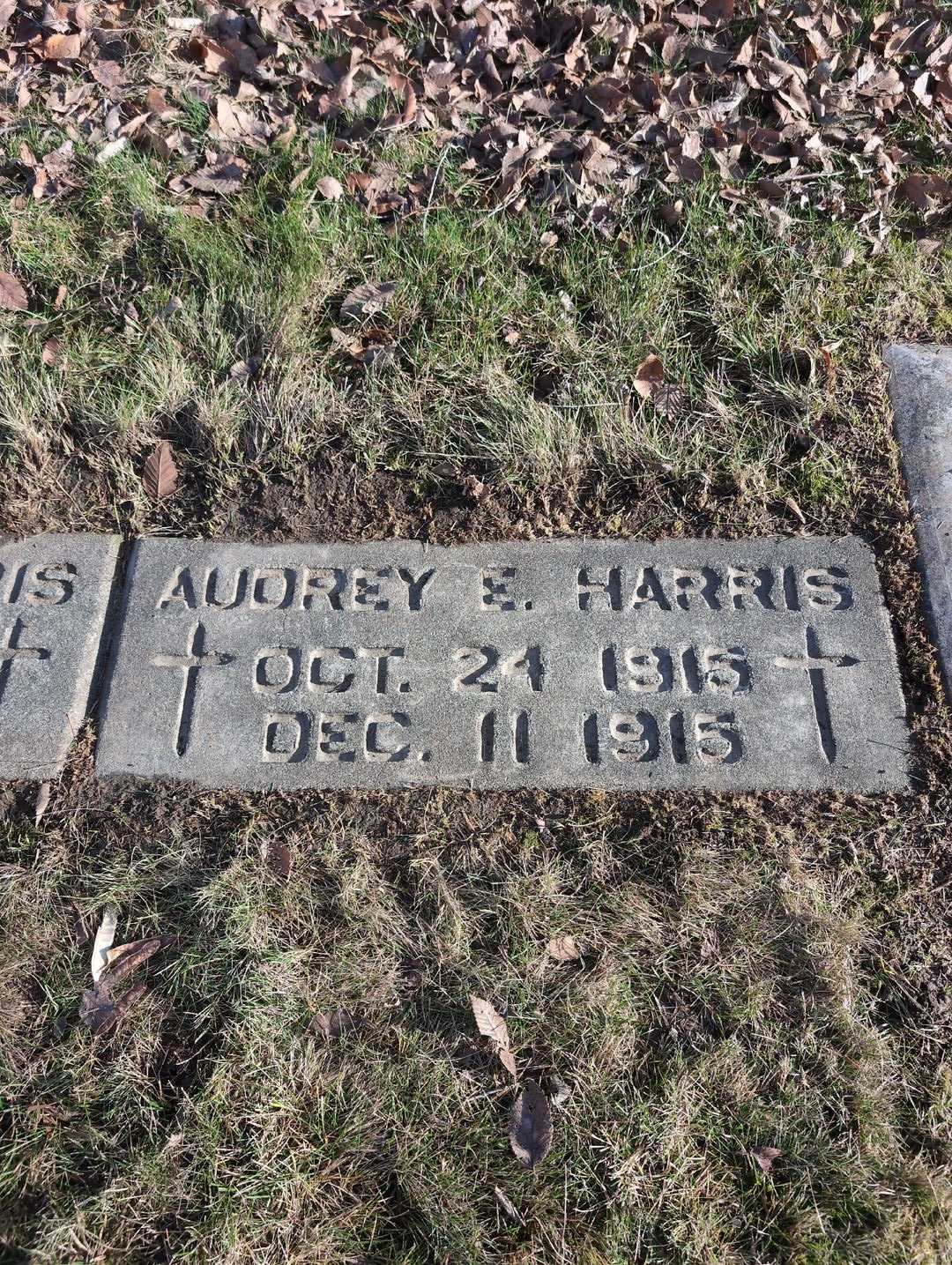 Audrey Elsie Harris's grave. Photo 3
