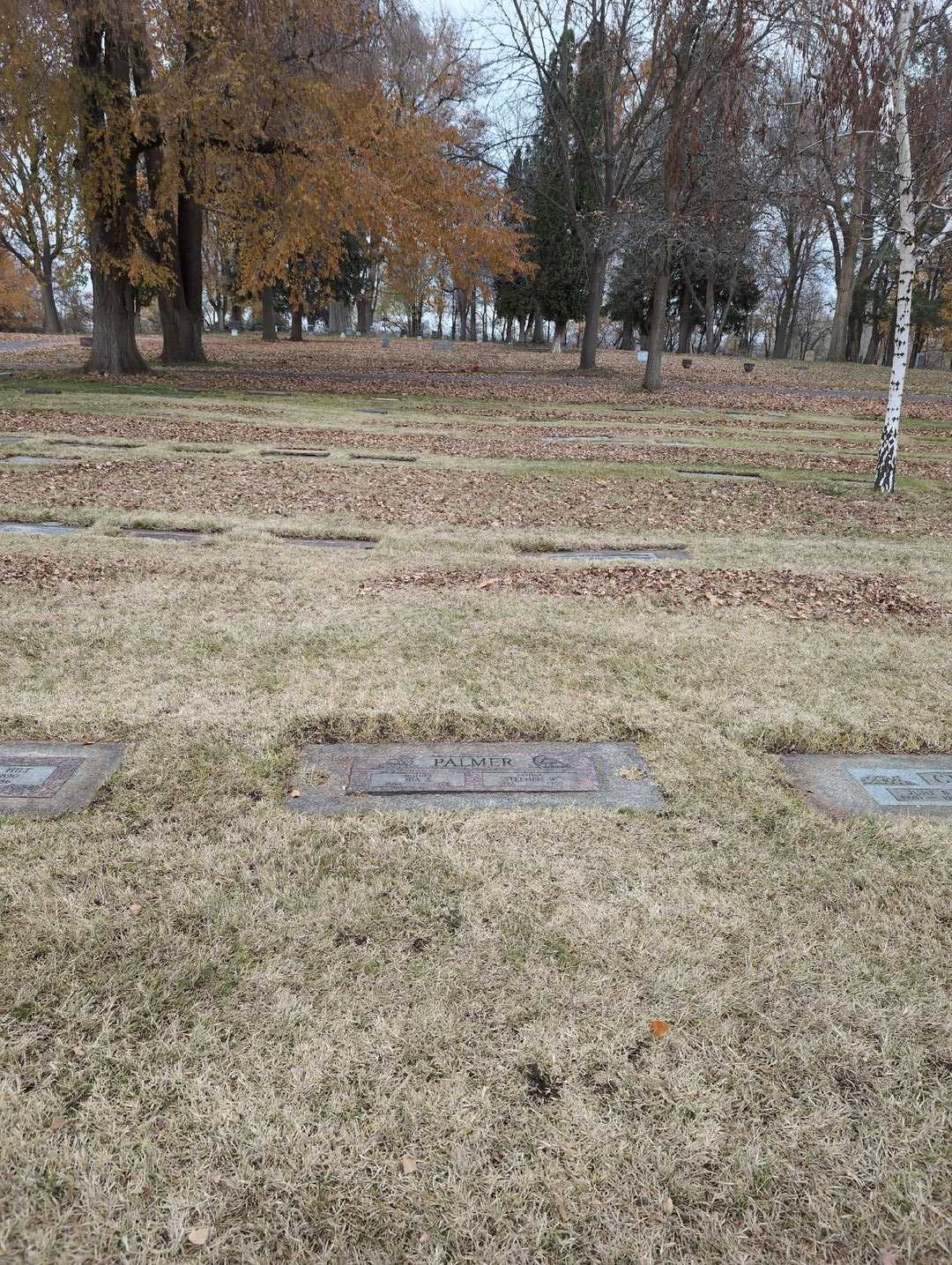Ida Mae S. Palmer's grave. Photo 2