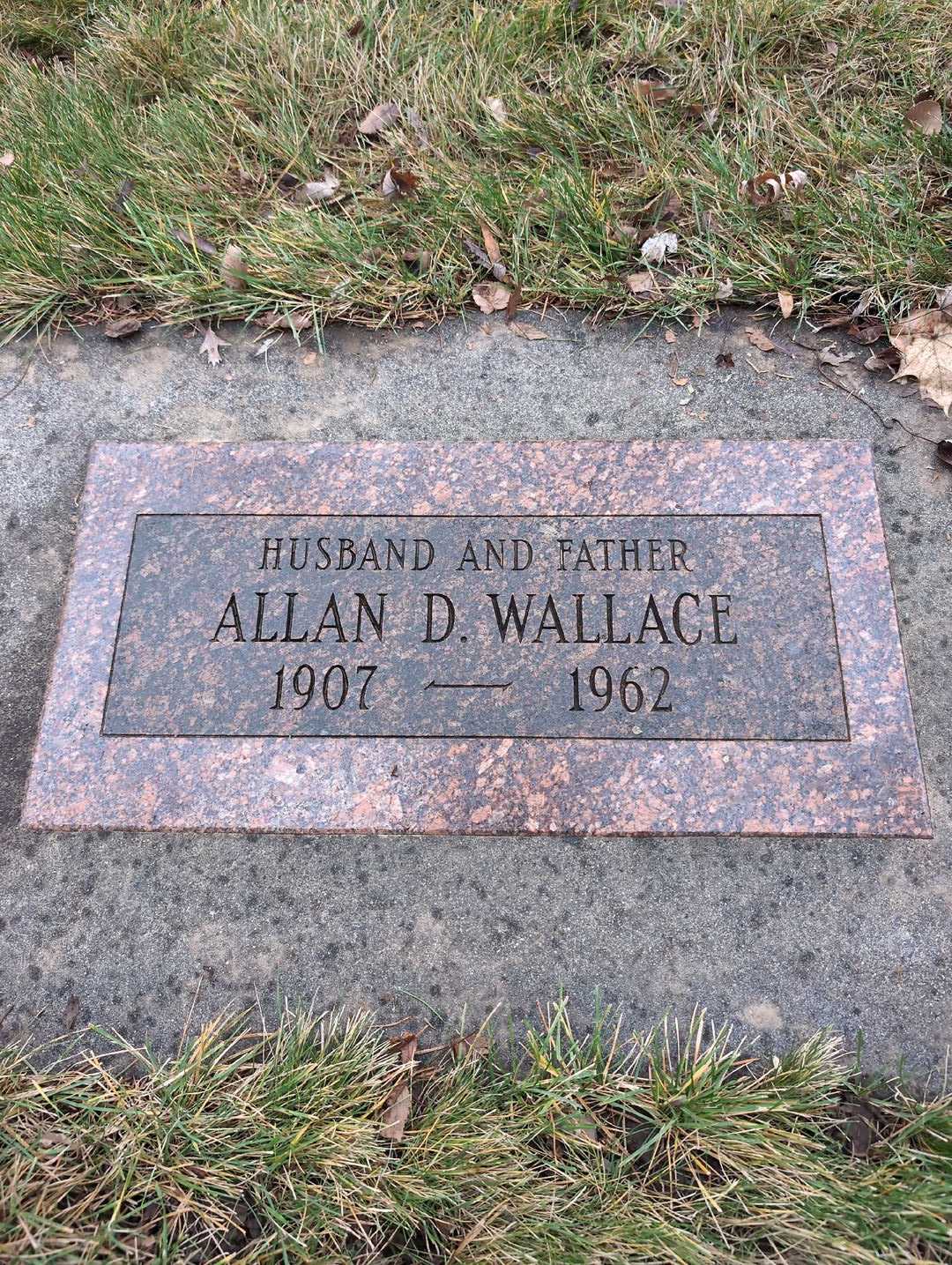 Allan David Wallace's grave. Photo 3