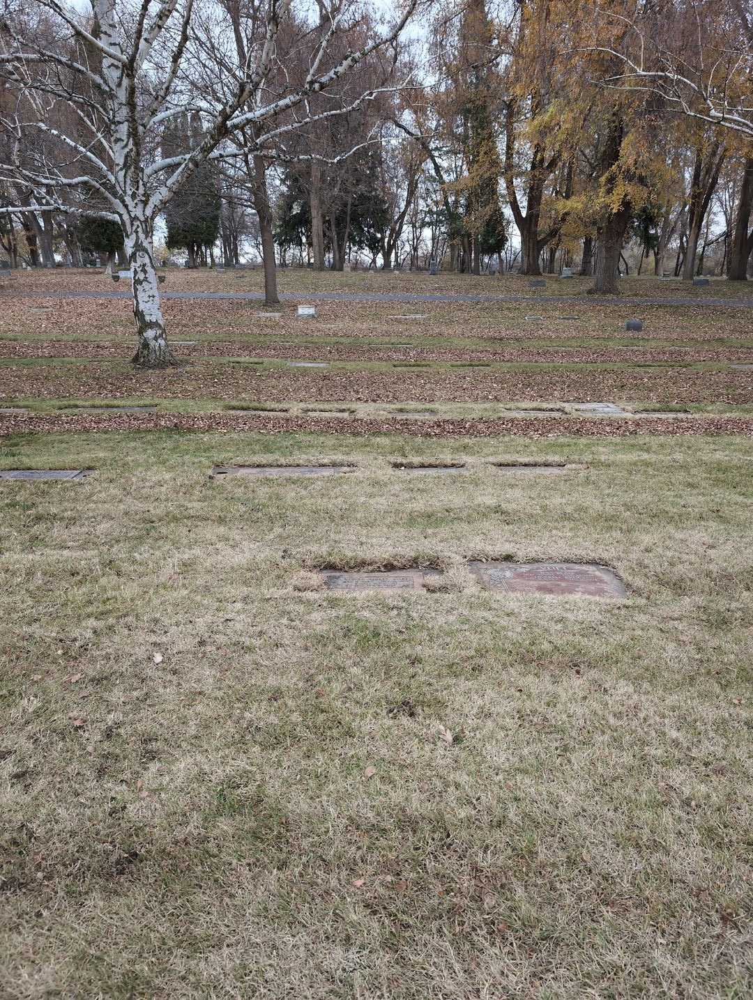 Darrell Bruce Vliet's grave. Photo 2