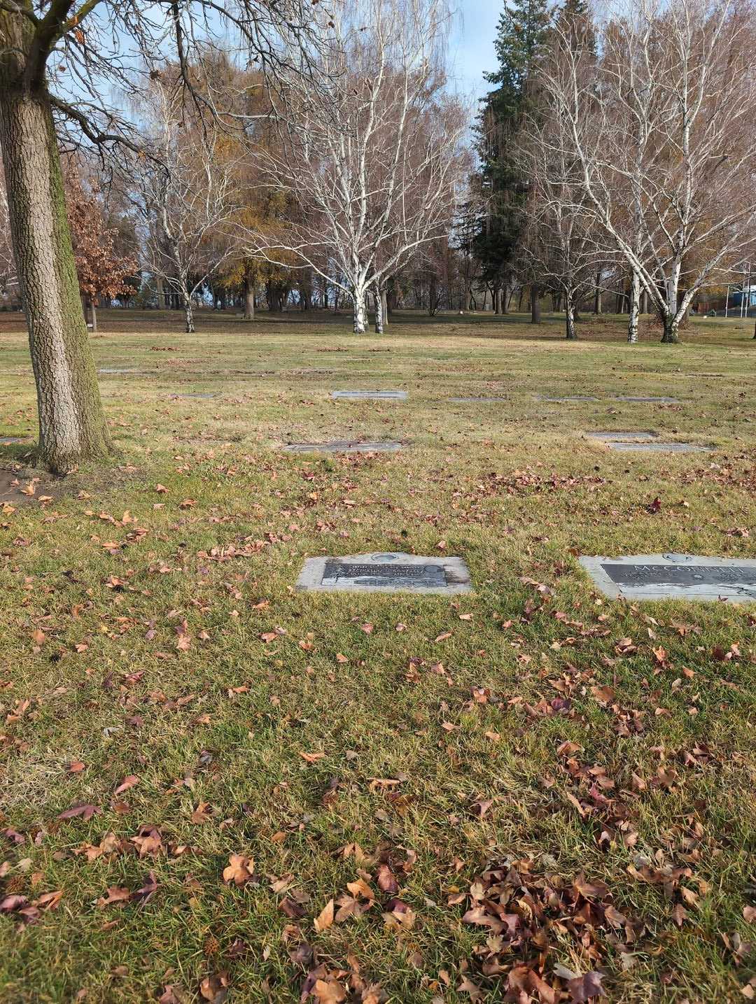 Reginaldo O. Gonzalez's grave. Photo 2