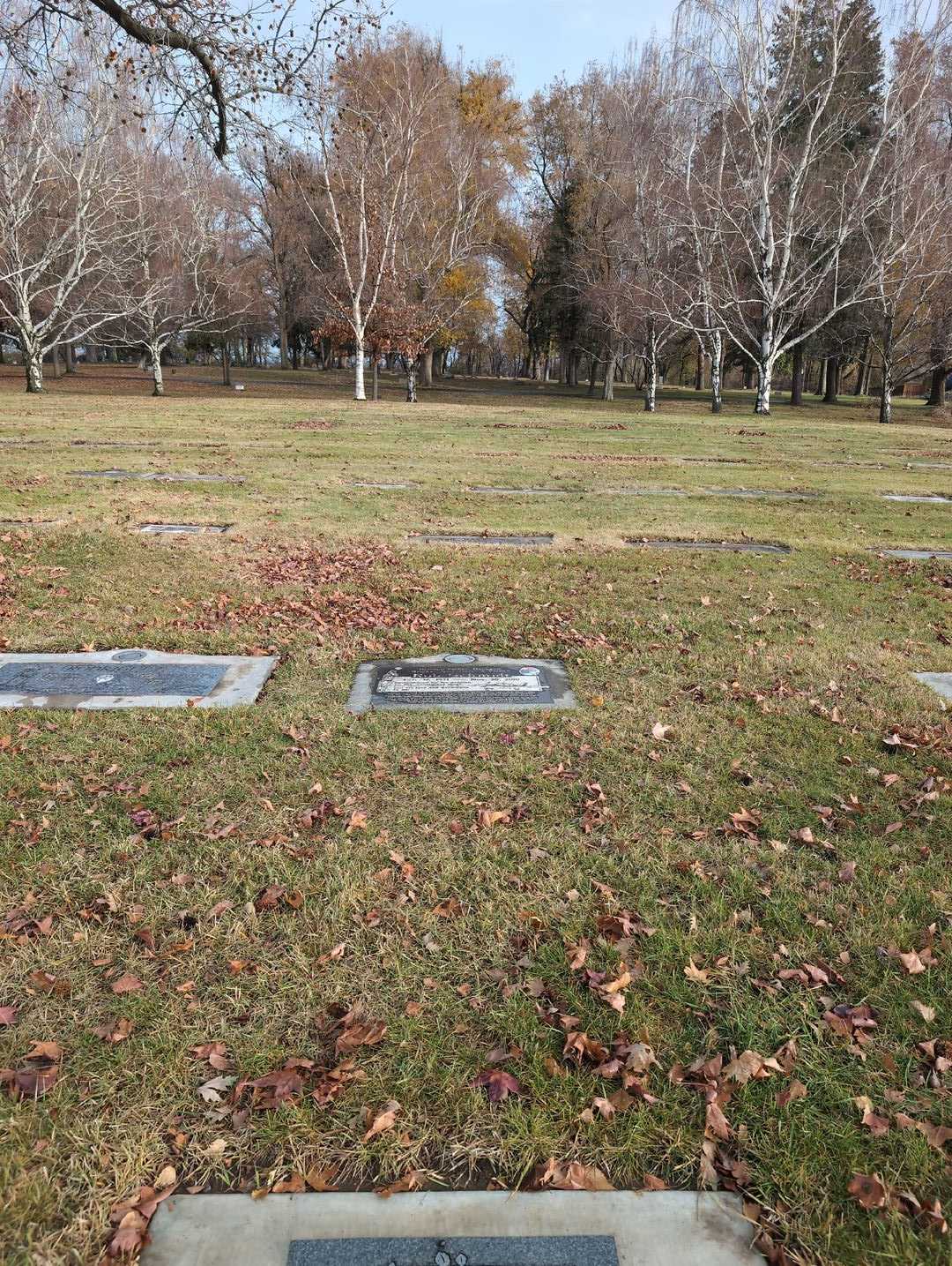 Robert "Rob" Schmidt's grave. Photo 2