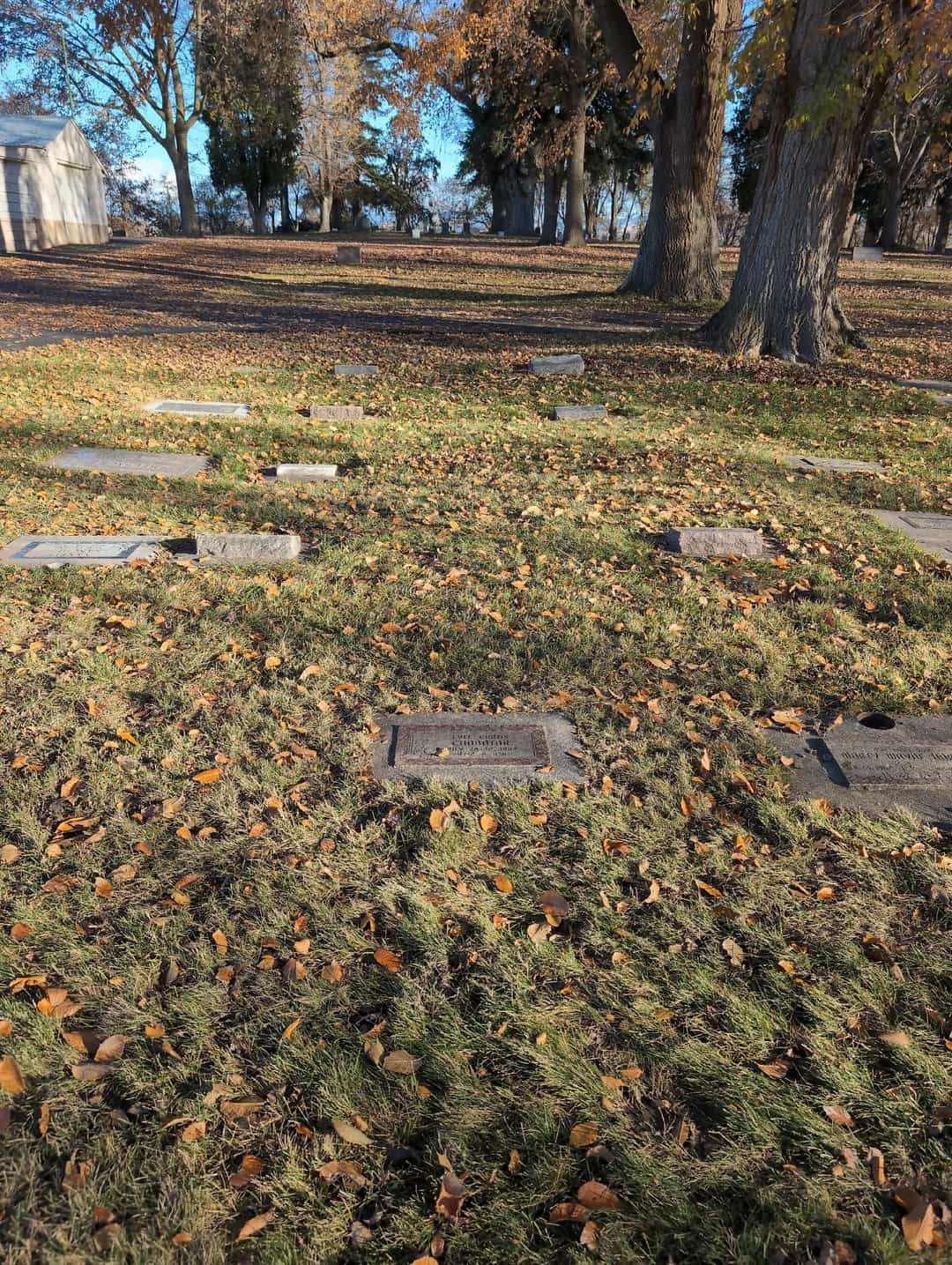 Lyle Curtis Chobotar's grave. Photo 2