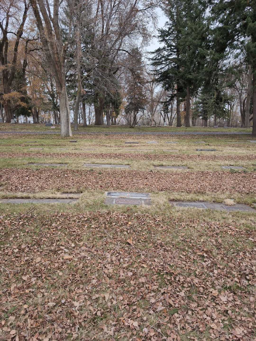 Jerry Leroy Hiner's grave. Photo 2