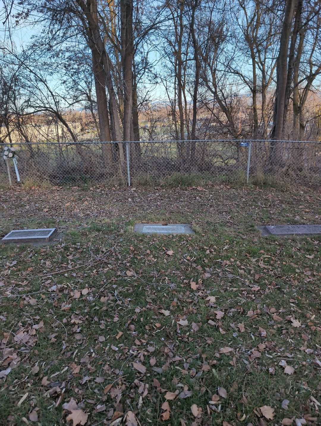 Violet Ruth Schmidt's grave. Photo 2