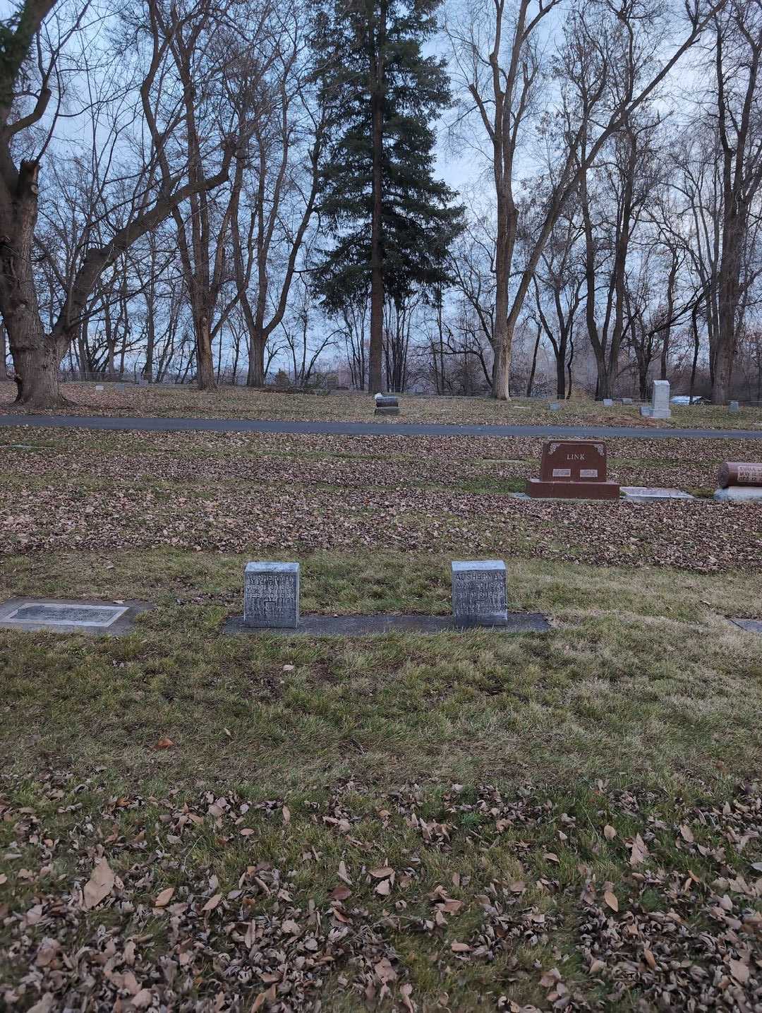 David Ausherman's grave. Photo 2