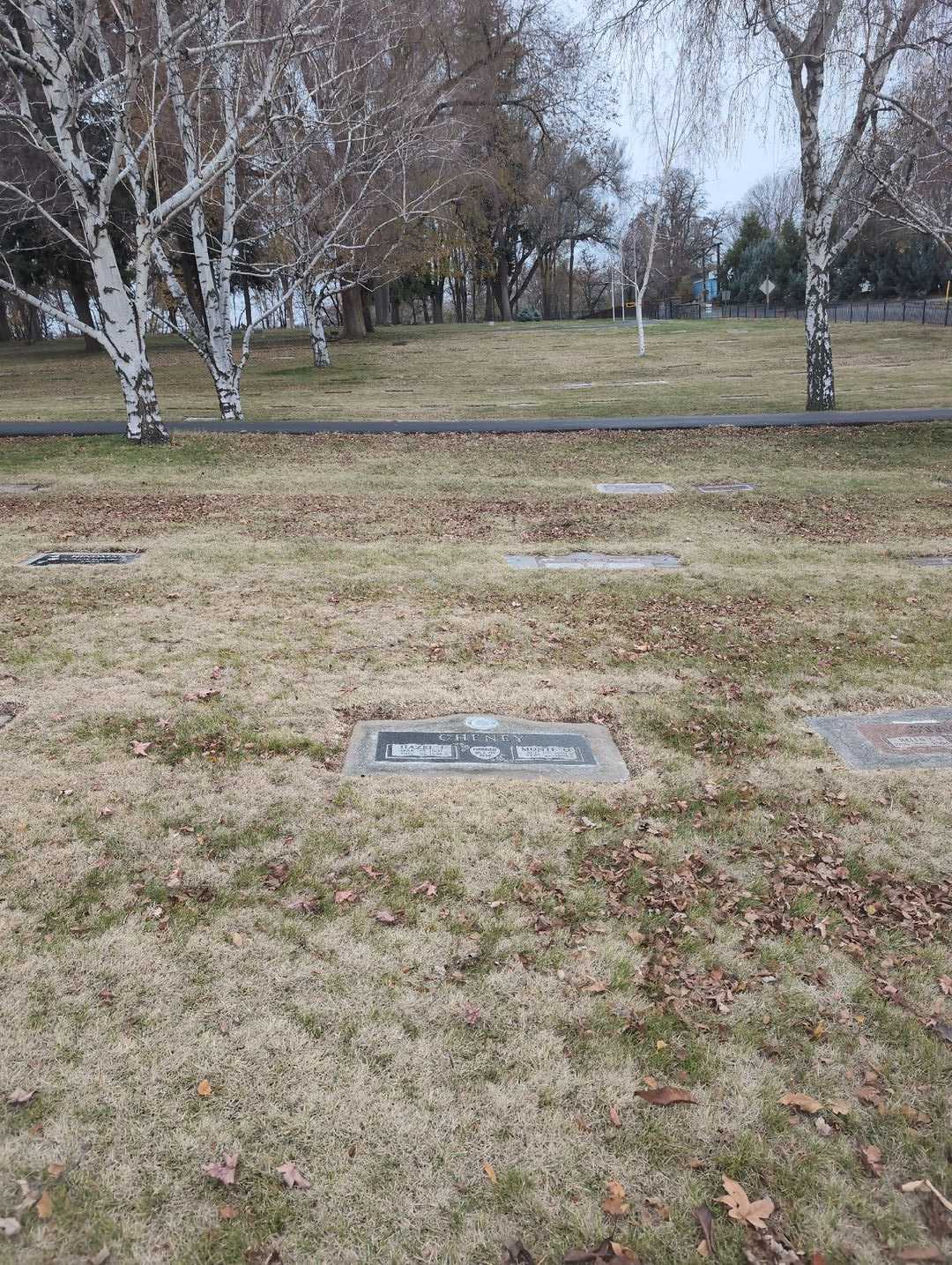Monte O. Cheney's grave. Photo 2