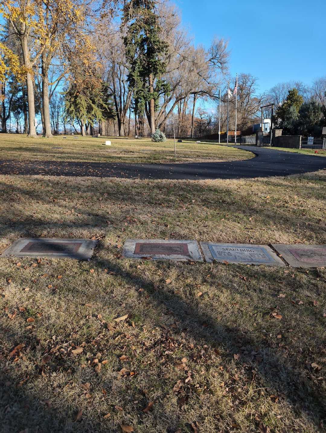 Forrest S. Fauver's grave. Photo 2