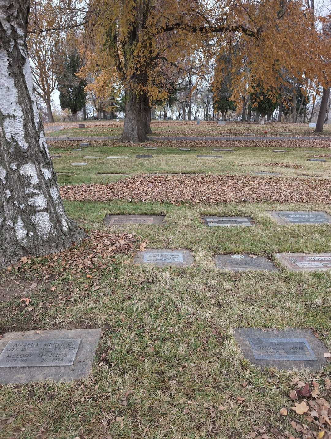 Jacob Garrit Van Dyk's grave. Photo 2