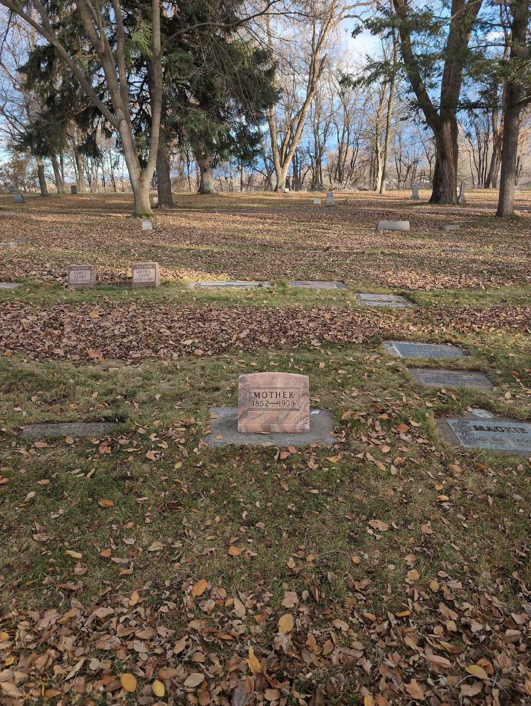James Thomas Hall's grave. Photo 4