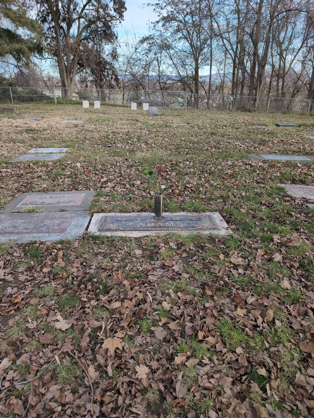 Robert Reith Adams's grave. Photo 2