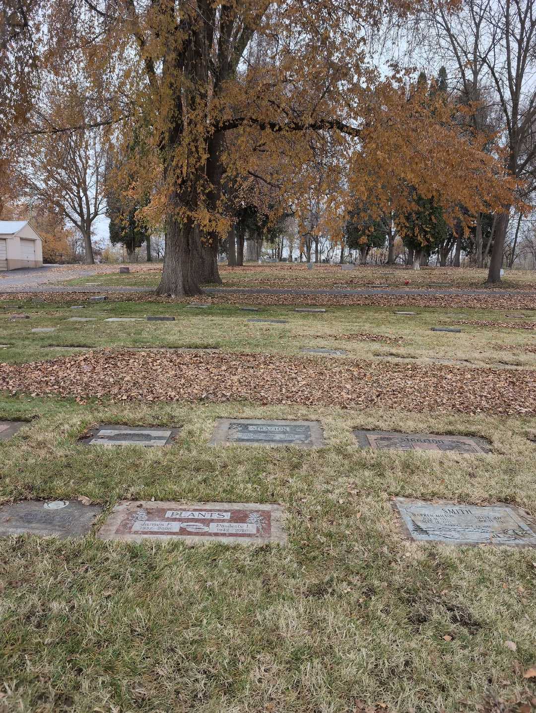 Barbara Jean Stotts  Stratton's grave. Photo 2
