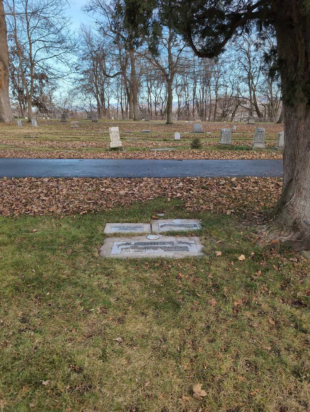 E. Ruth Joice's grave. Photo 2